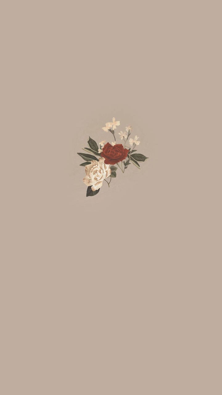 Download Minimalist Boho Flowers Wallpaper