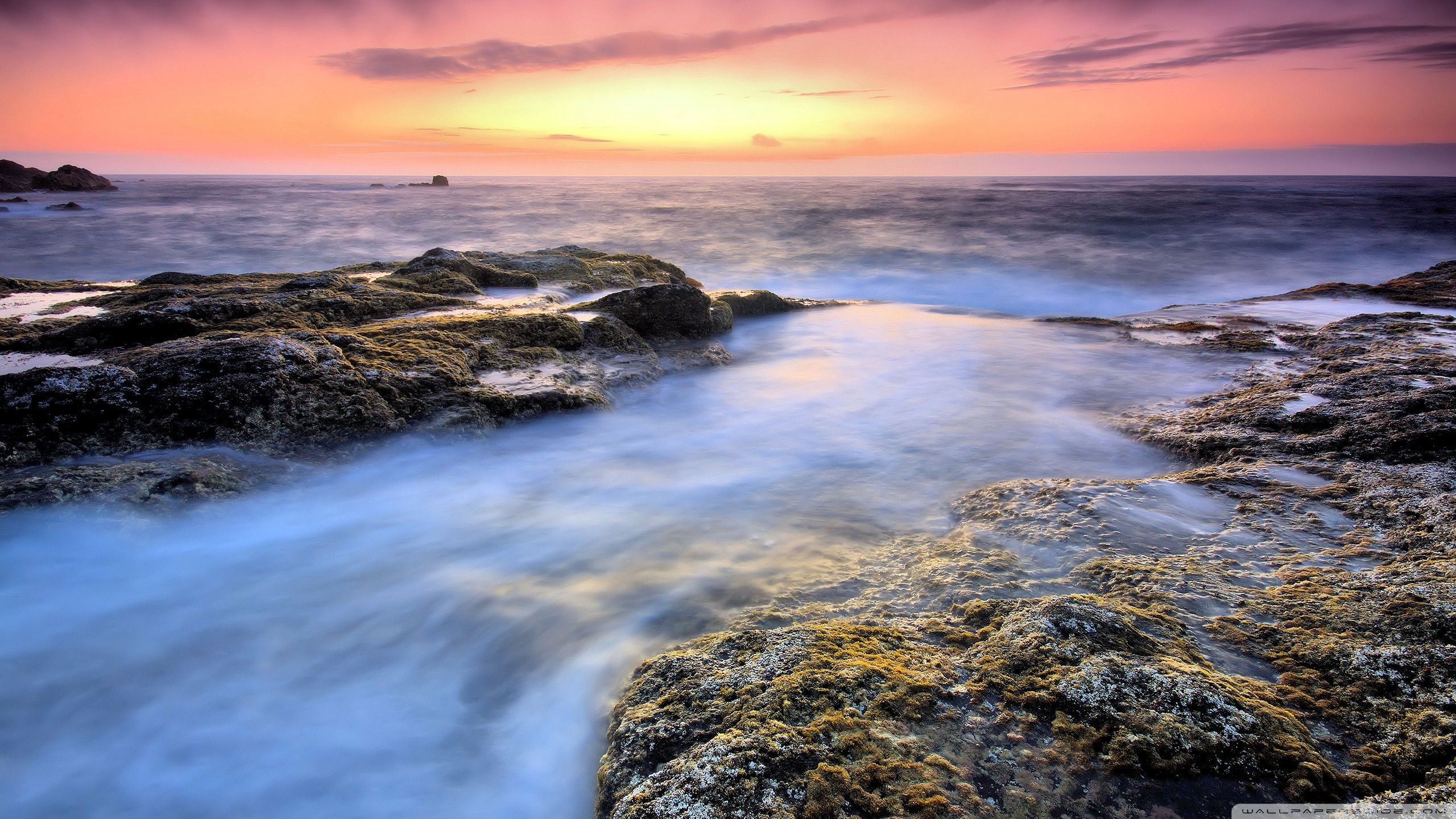 Tranquility Wallpaper