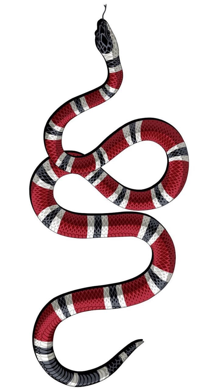 Old school. Snake wallpaper, Snake logo, Snake drawing