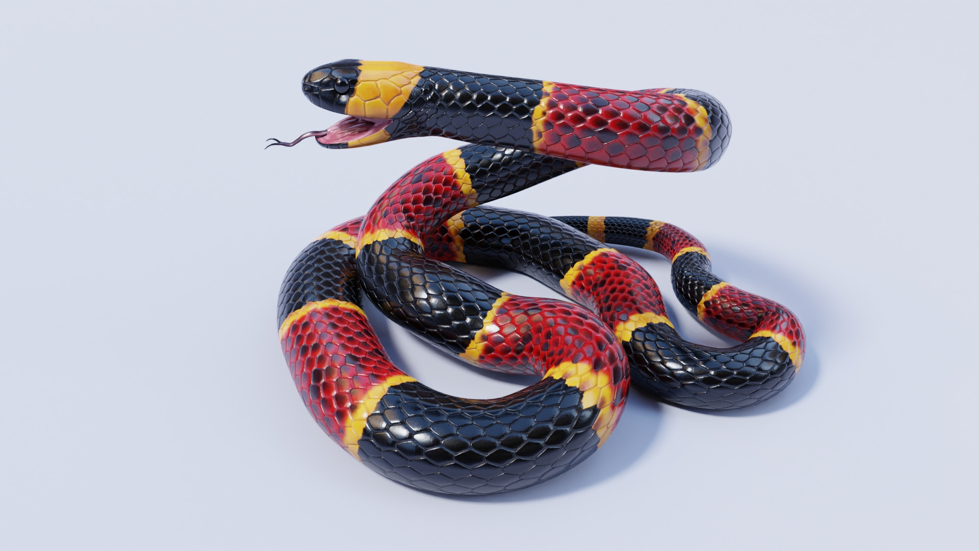 Animated Eastern Coral Snake Model