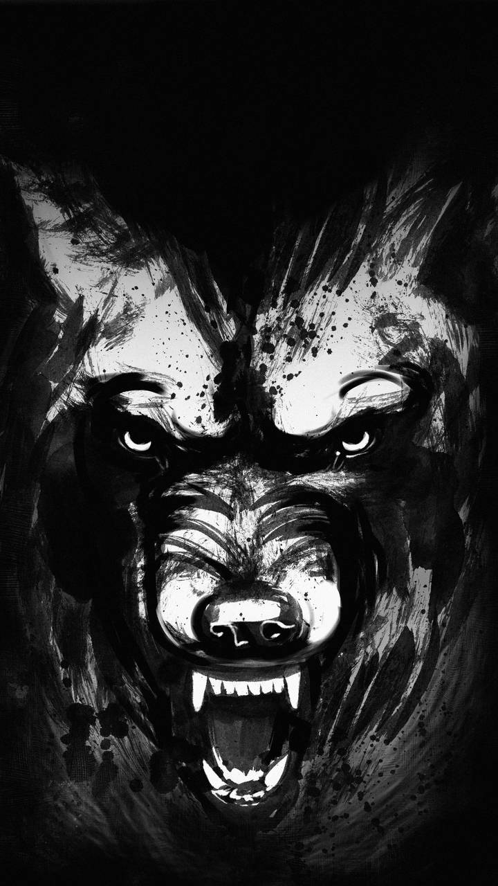 Black Bear Wallpaper Wallpaper, iPhone Wallpaper