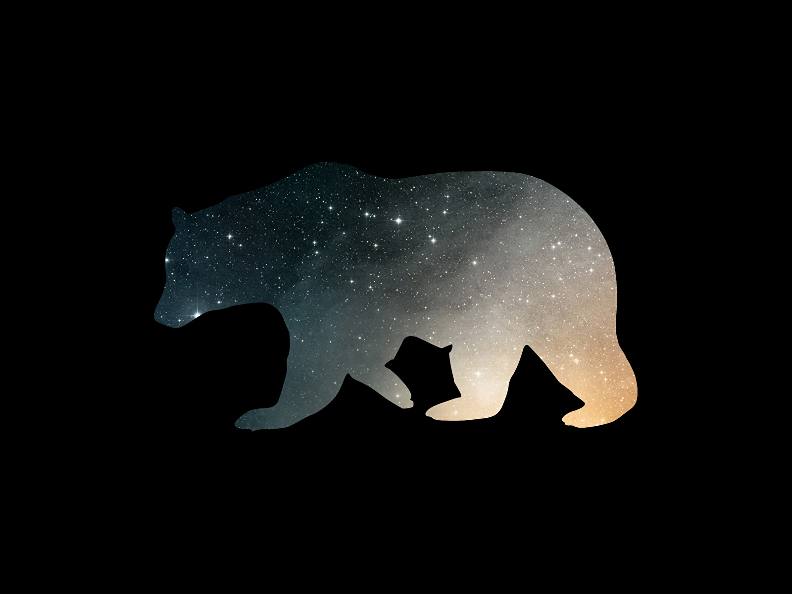 Bear Wallpaper Phone Black And White