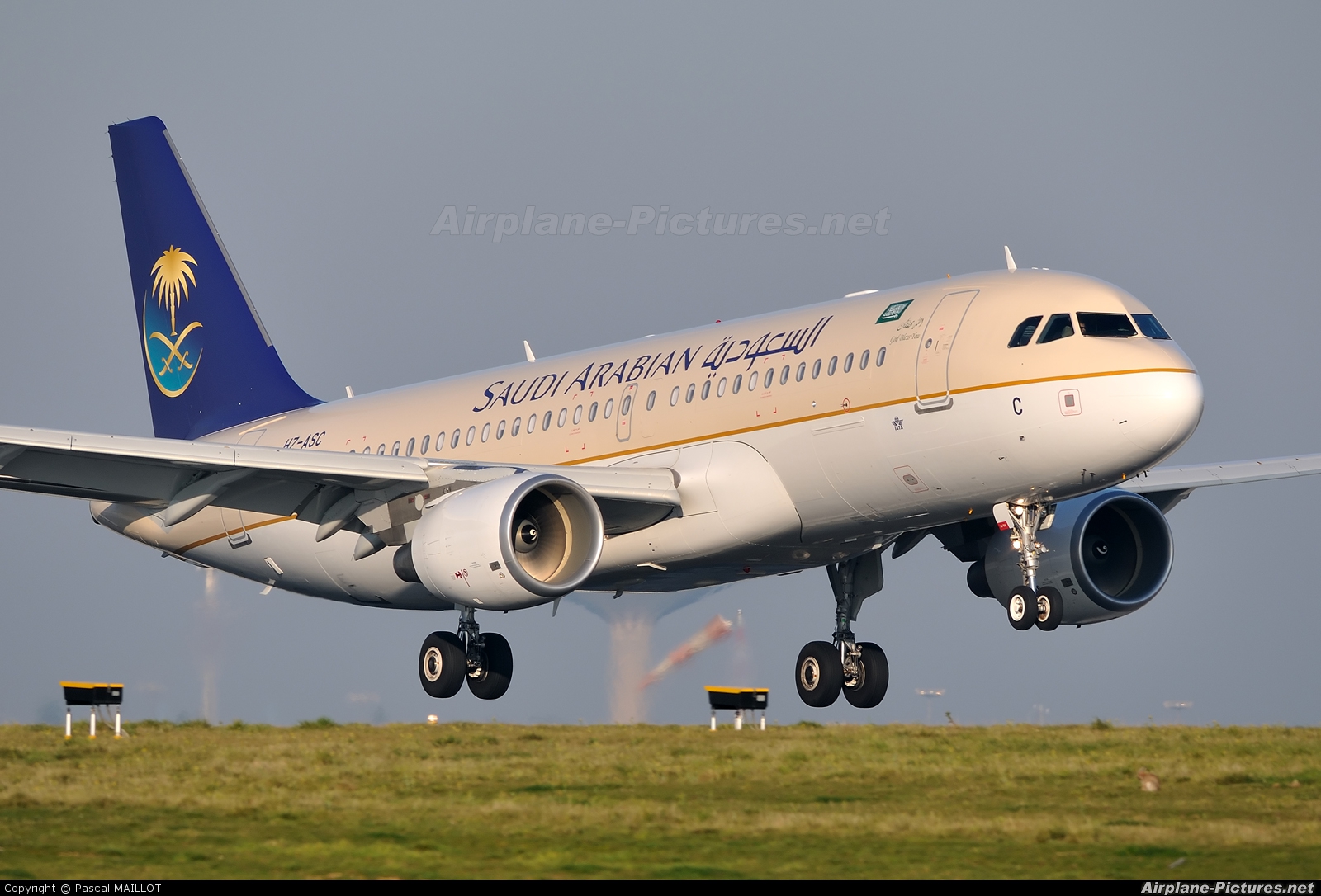 The best Saudi Arabian Airlines Photo