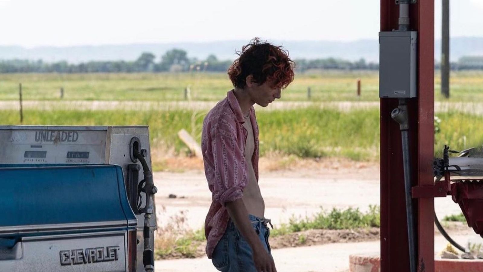 Bones And All: Release Date, Cast, And More For Luca Guadagnino's New Movie