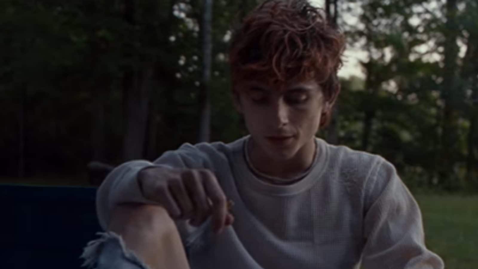 Venice Film Festival: Timothee Chalamet's Bones and All Plots Cannibalism and Receives Standing Ovation