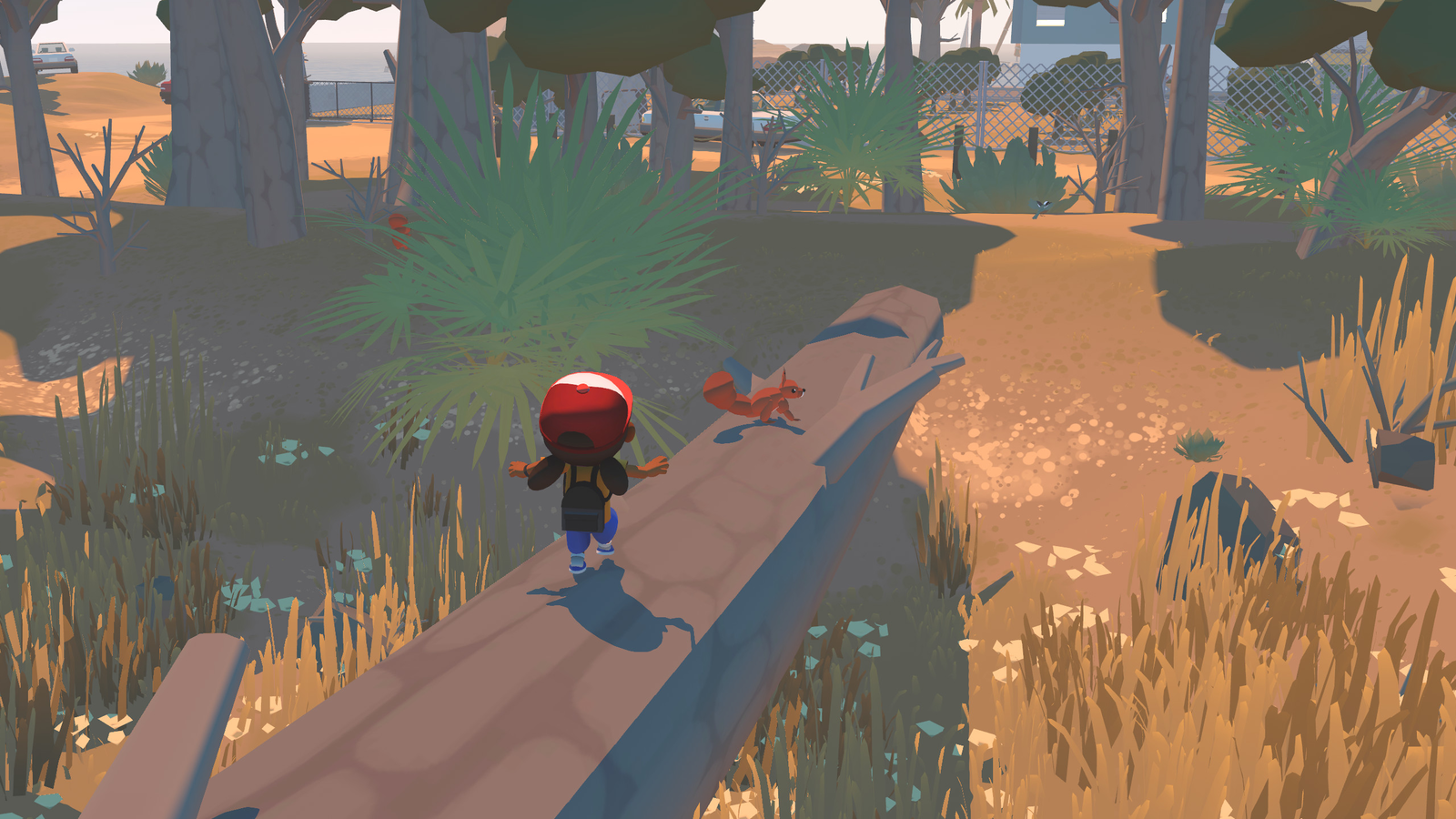 The inspirations behind Alba: A Wildlife Adventure