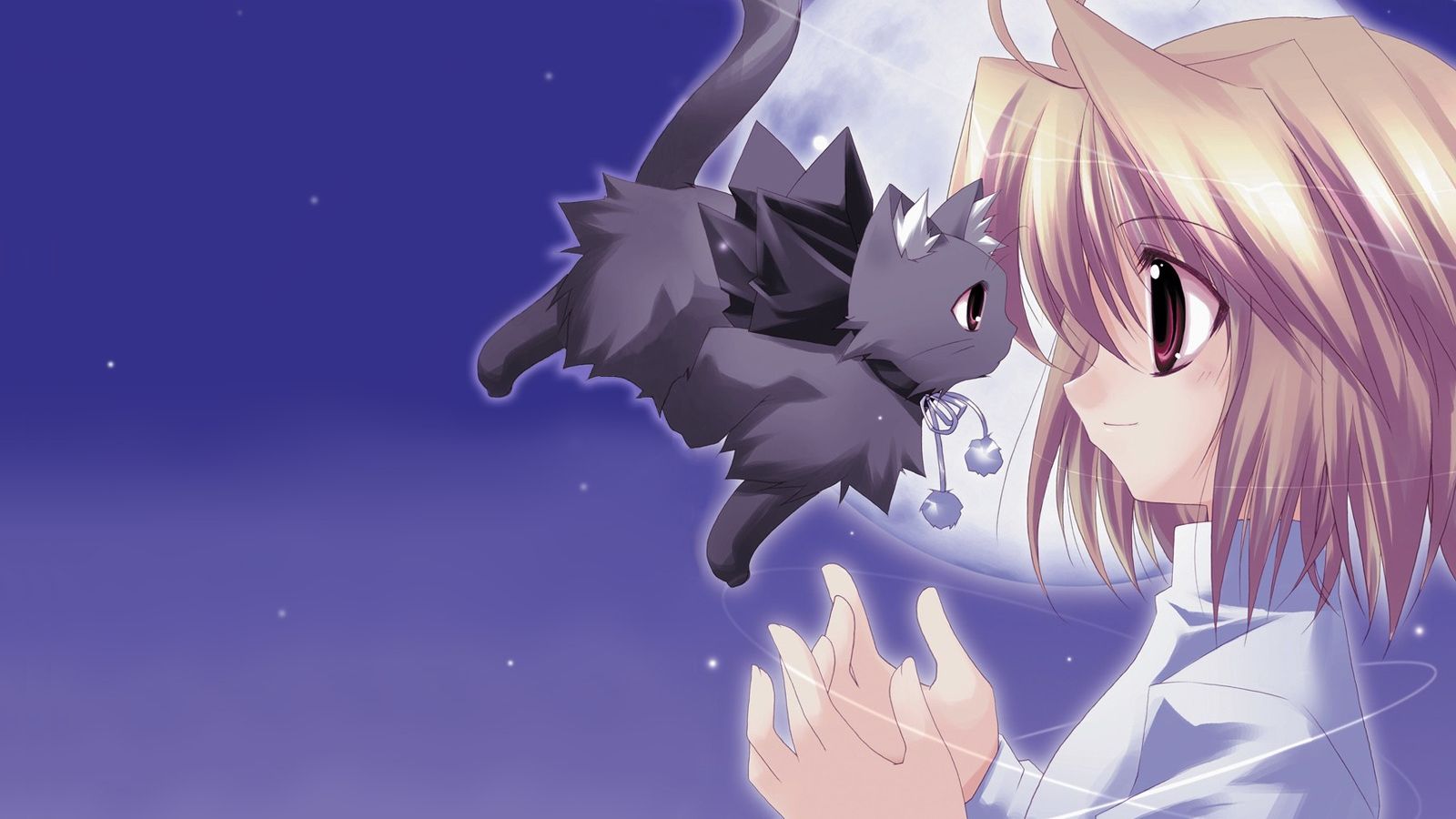 Cute Anime Cat Girl Wallpaper Free Cute Anime Cat Girl Background