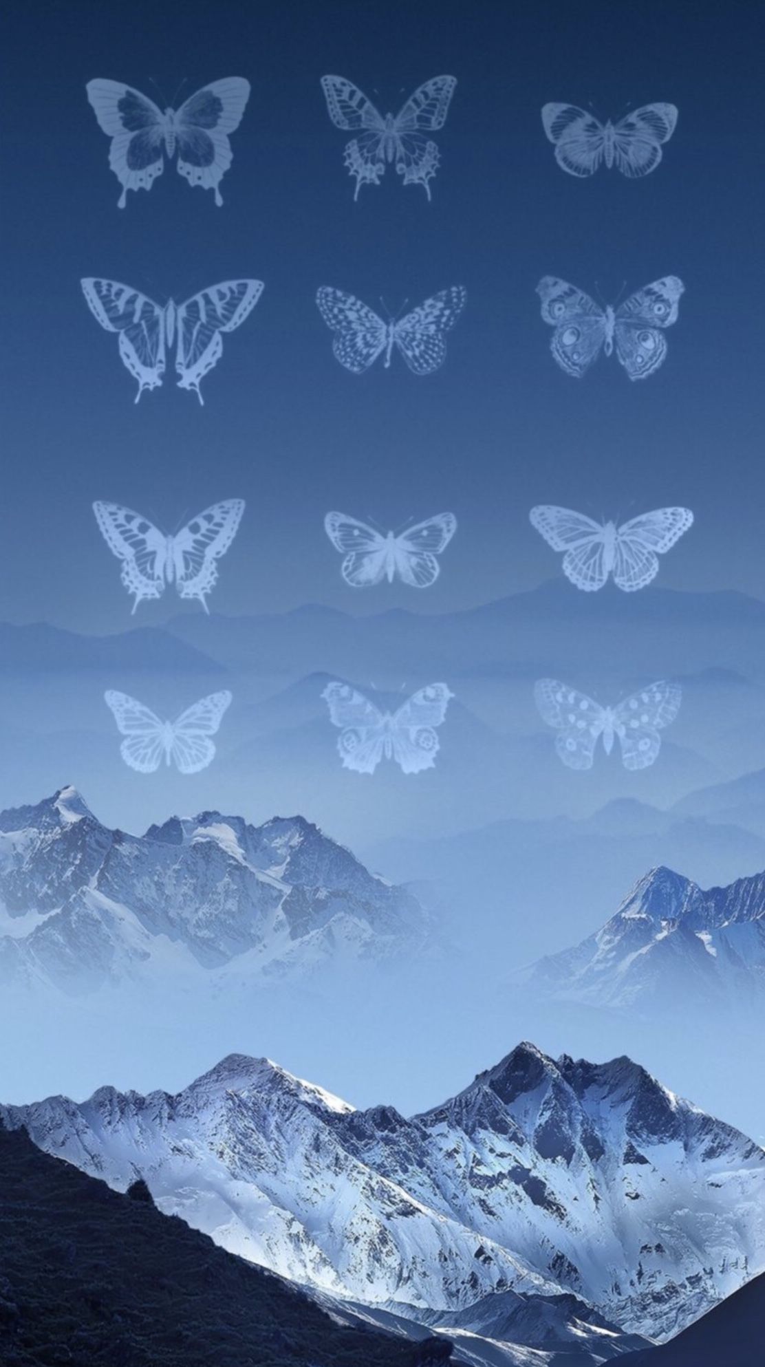 Loona Butterfly Wallpapers Wallpaper Cave