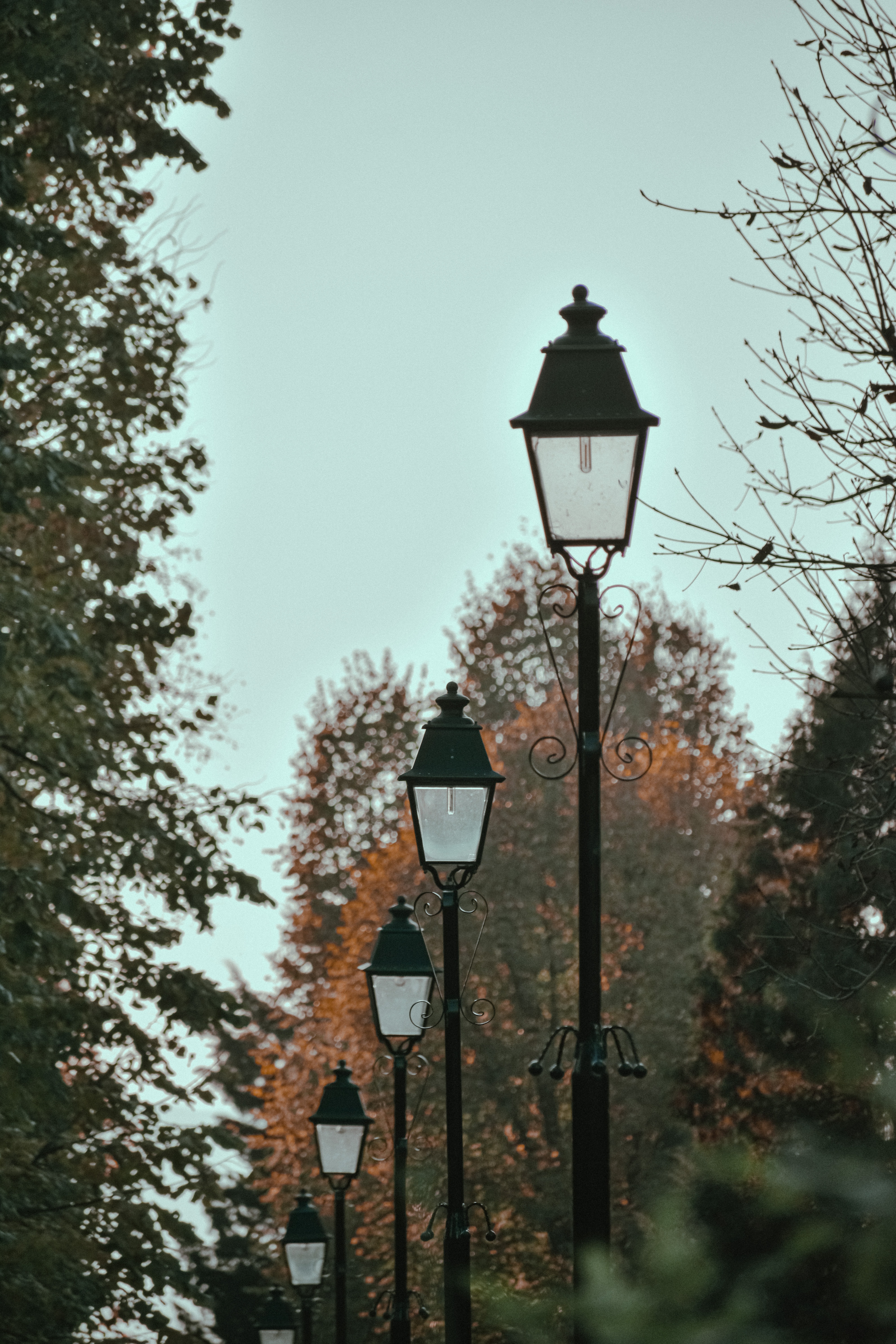 Streetlights along avenue in autumn park · Free