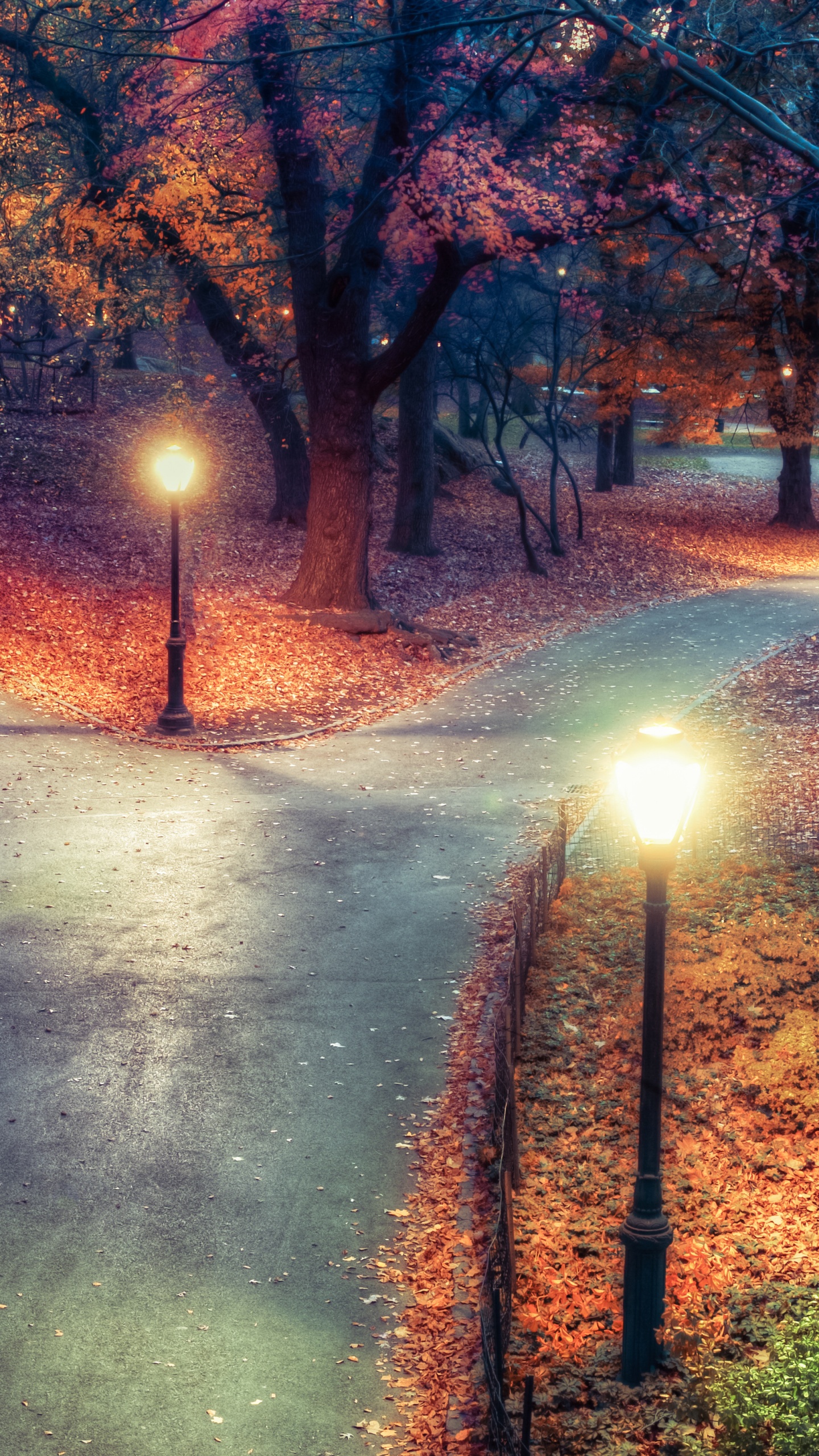 Central Park Wallpaper 4K, New York City, Autumn leaves, Path, Night, Nature
