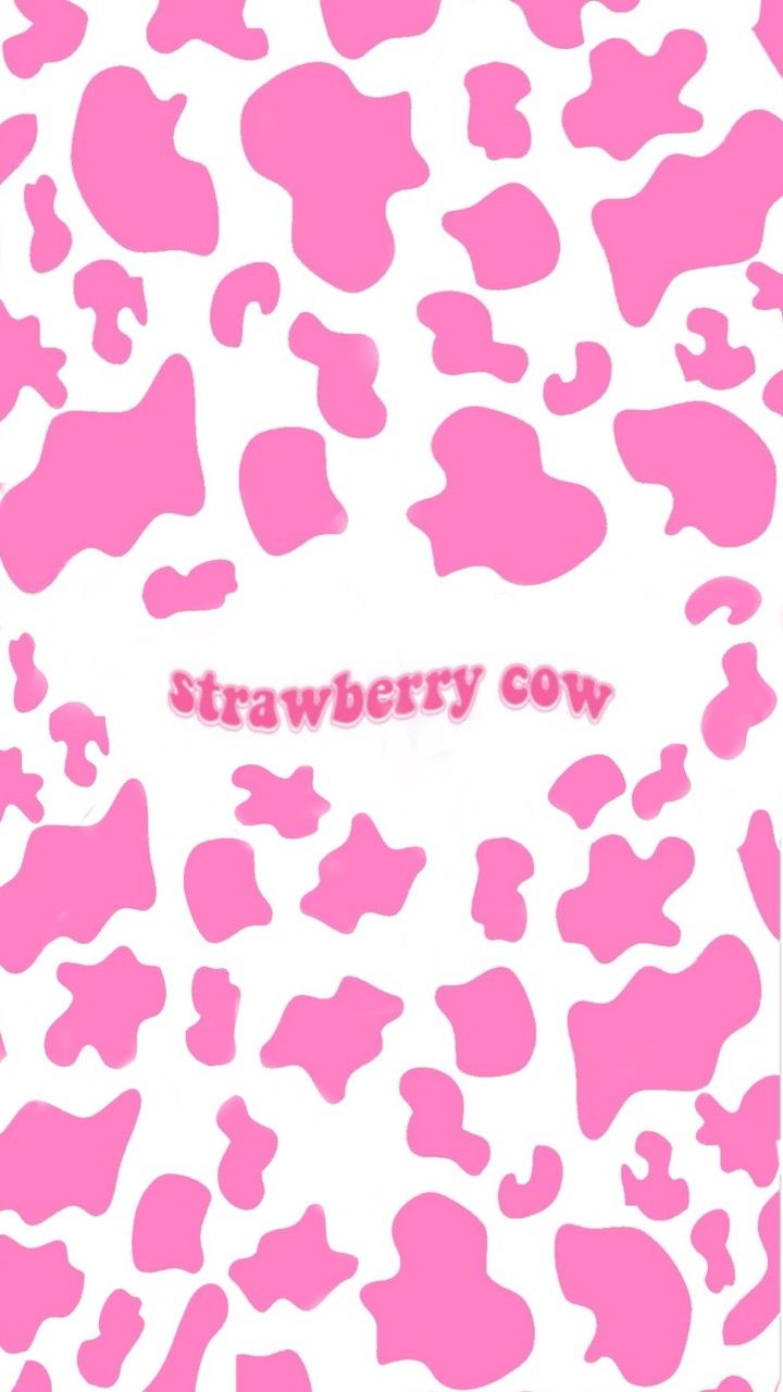 preppy cow wallpapers for ipadTikTok Search