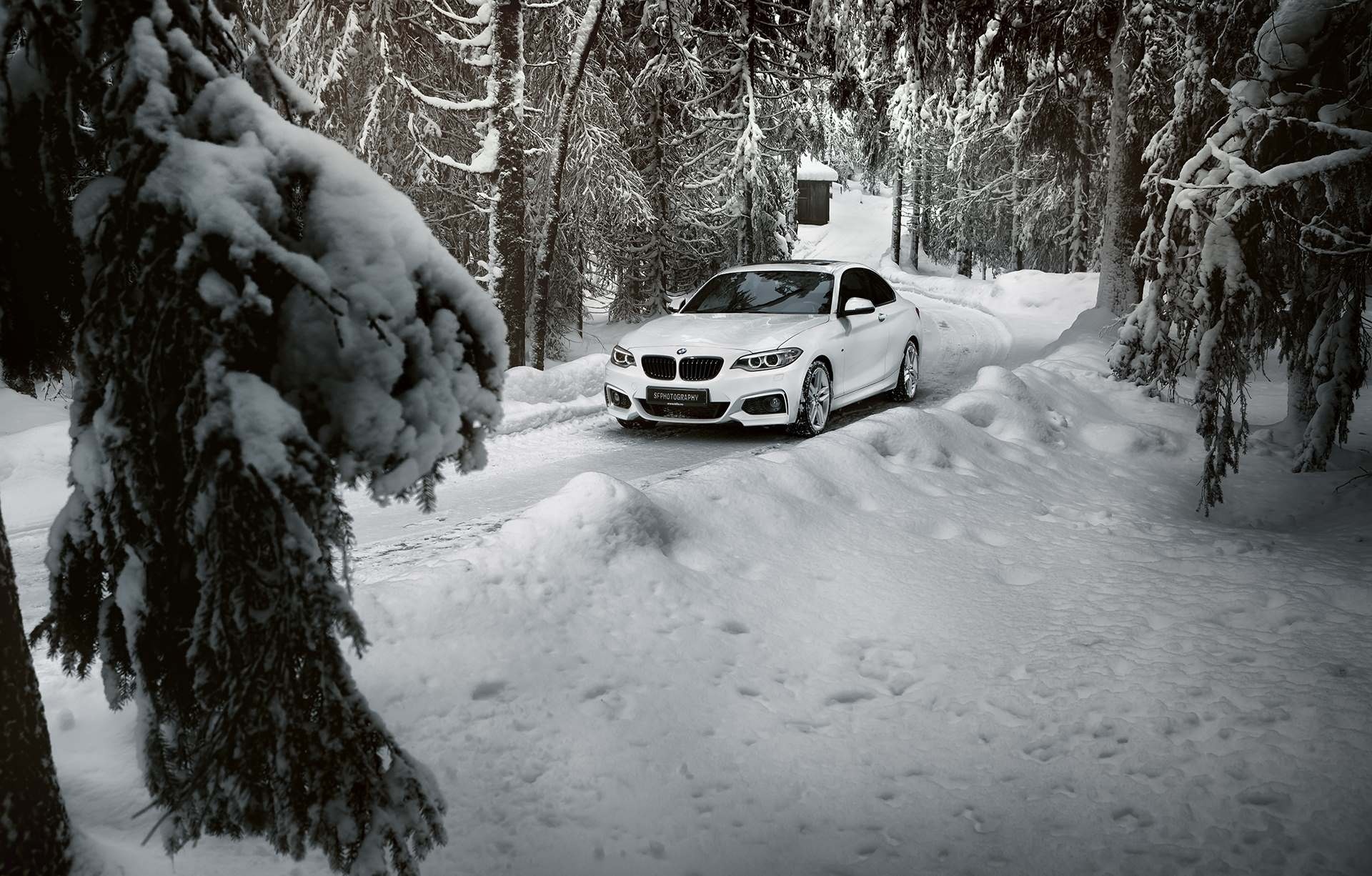 Wallpaper. Cars. photo. picture. BMW, winter, snow, forest