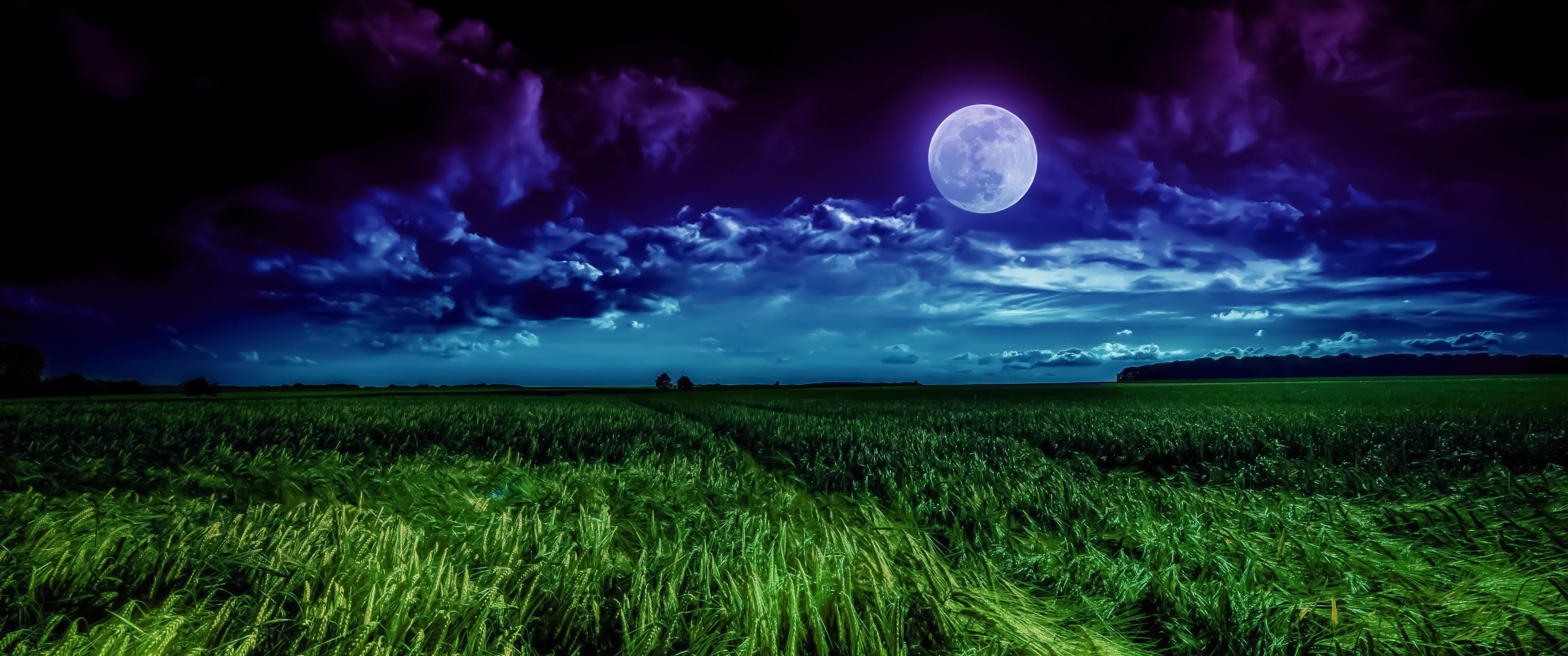 Moon Wallpaper 4K, Landscape, Night, Field, Cloudy