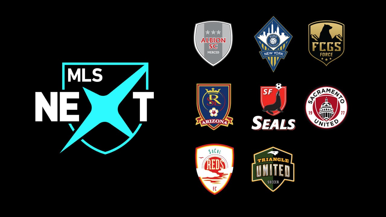 The 3rd iteration of my annual 1920x1080 desktop background is here! Now  featuring all 91 professional soccer clubs from the MLS, USLC, USL1, NISA,  and NWSL! : r/MLS