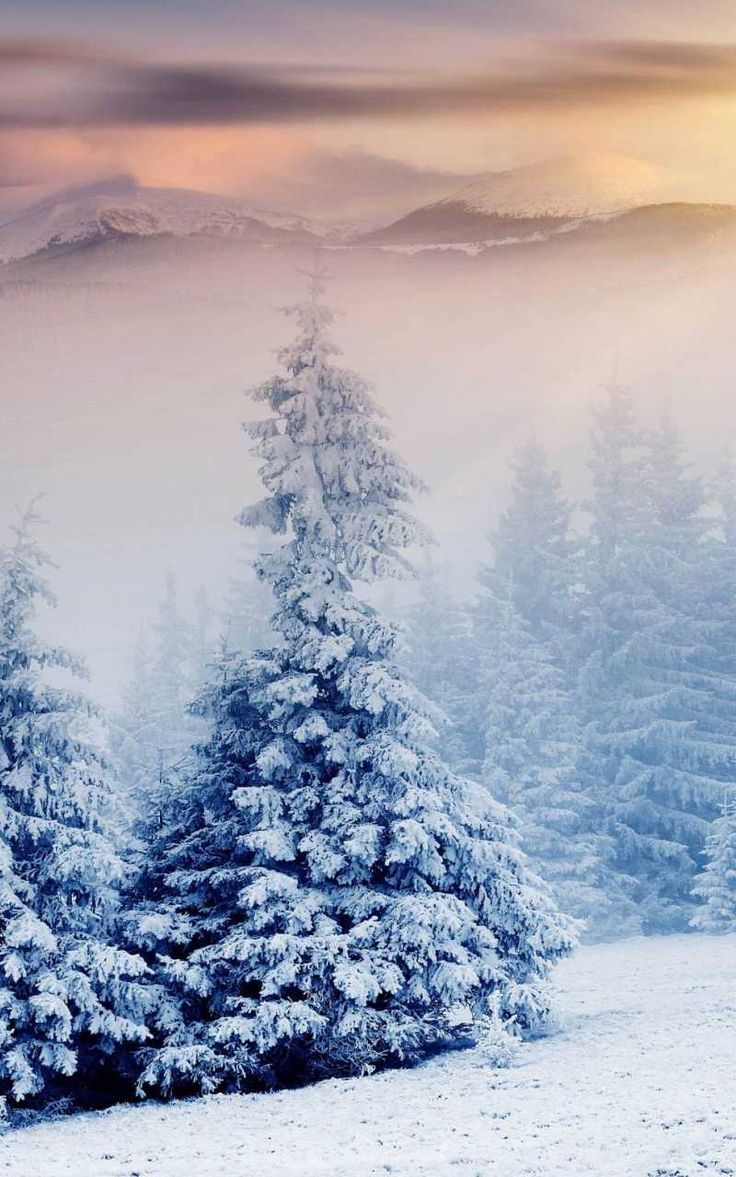 ULtra HD Snow Wallpaper ULtra HD Snow Wallpaper background in size 800x1280 with search words 4k. Free winter wallpaper, Winter wallpaper, iPhone wallpaper winter