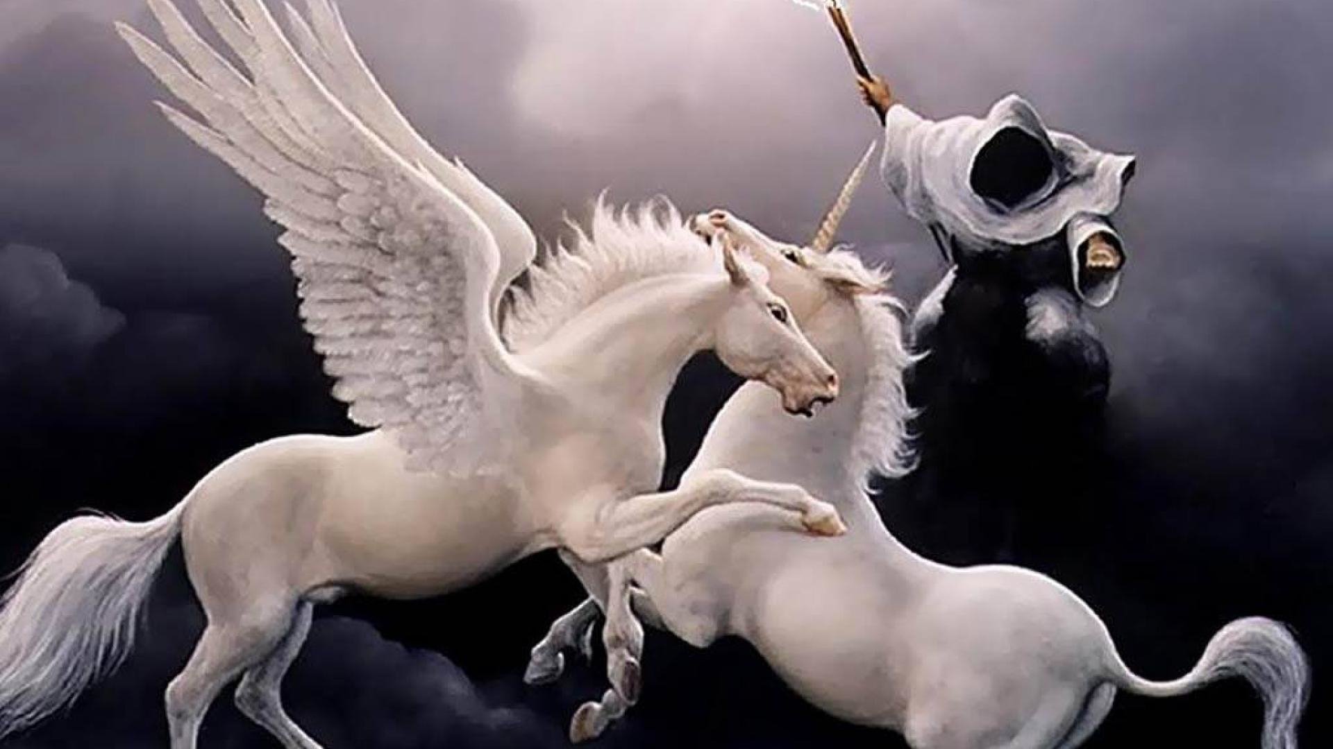 Fantasy Pegasus HD Wallpaper