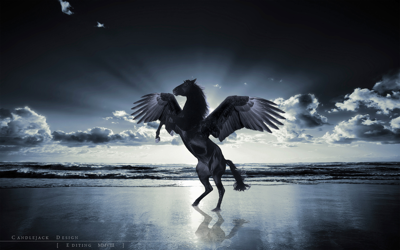 unicorn, Horse, Magical, Animal, Pegasus, Ocean, Beach Wallpaper HD / Desktop and Mobile Background