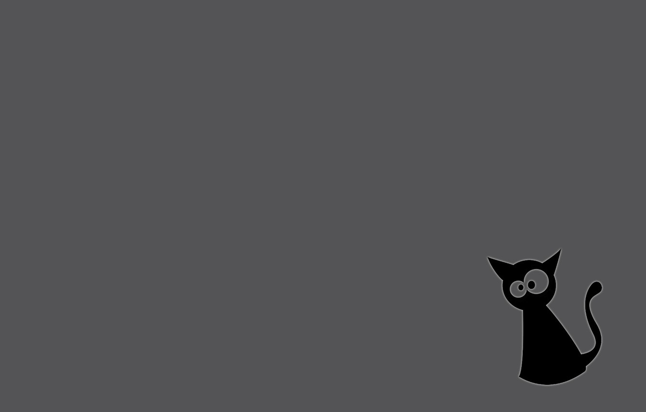 Gray And Black Cat Wallpapers - Wallpaper Cave