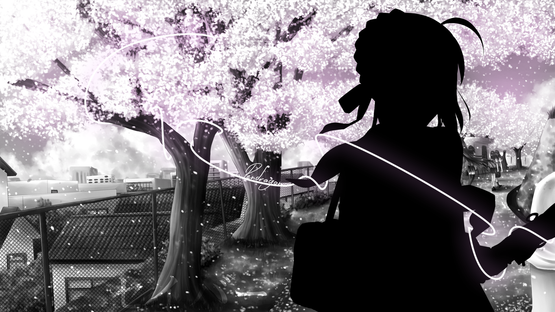 Anime Blossom Fate Zero Girl Night Saber Fate Series Sakura Tree White Wallpaper:1920x1080