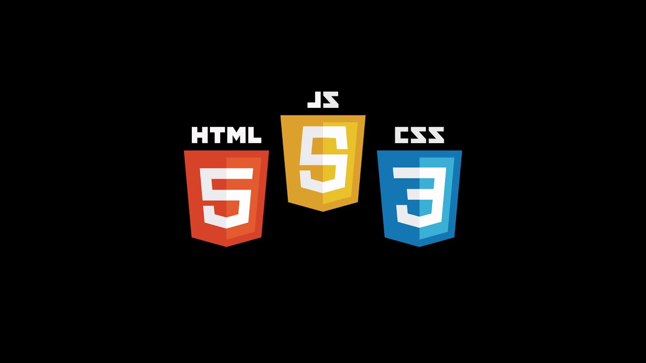 HTML, CSS, JavaScript 실시간 코딩