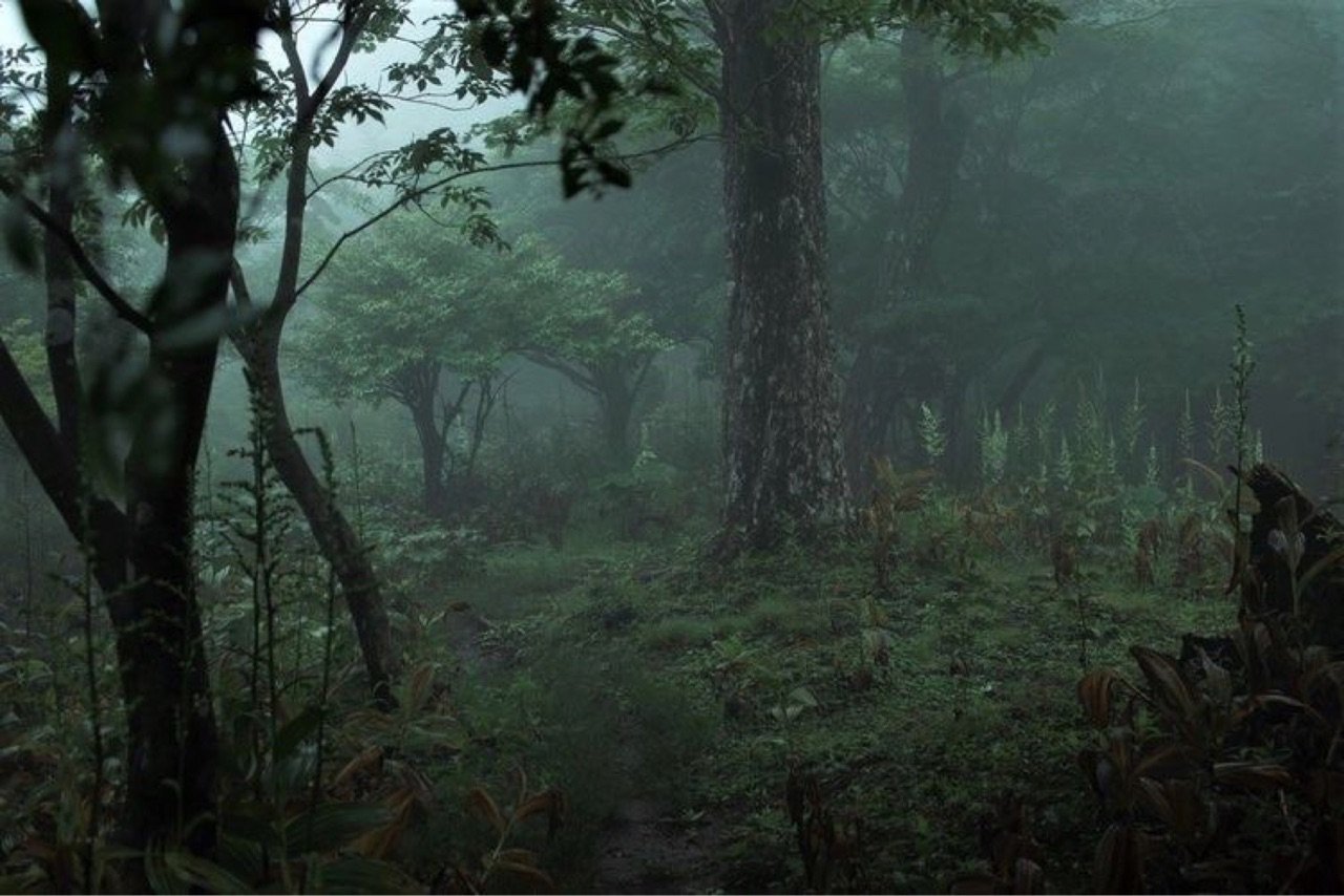 Goblincore лес