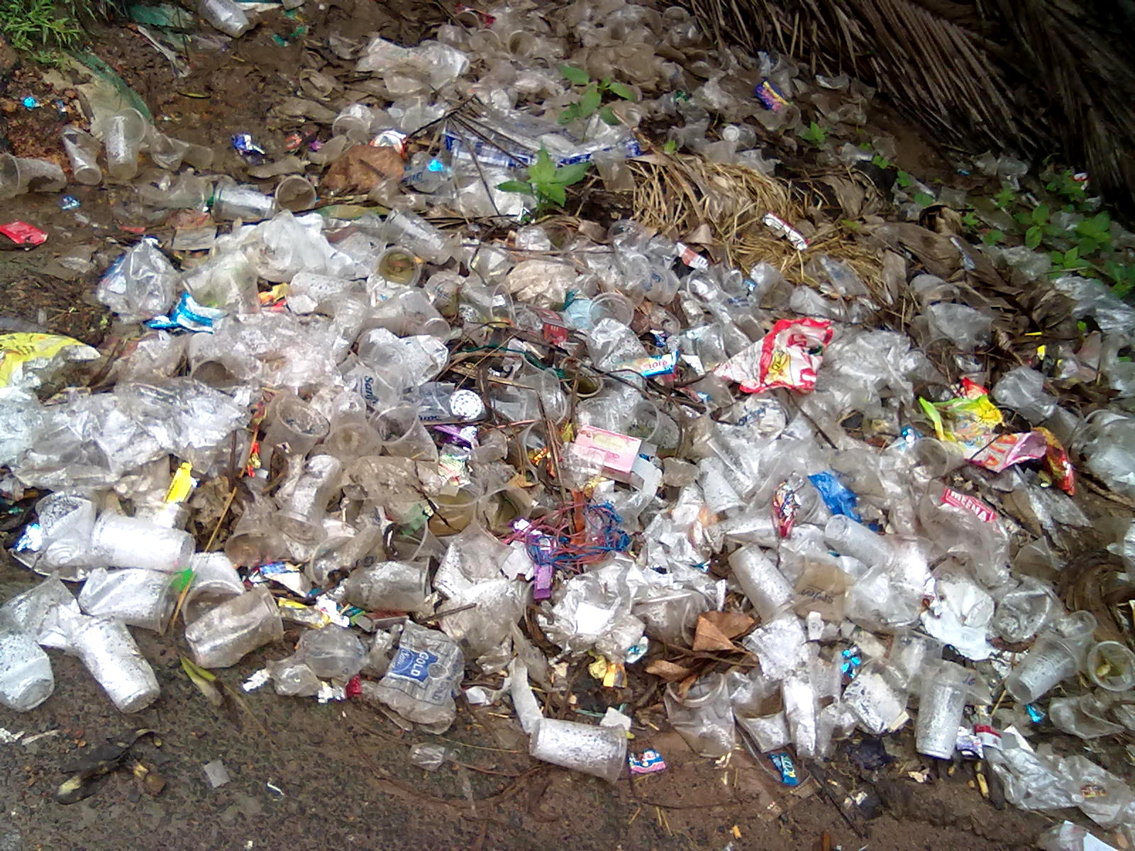 US seeks allies on global plastic pollution treaty, Reuters reports