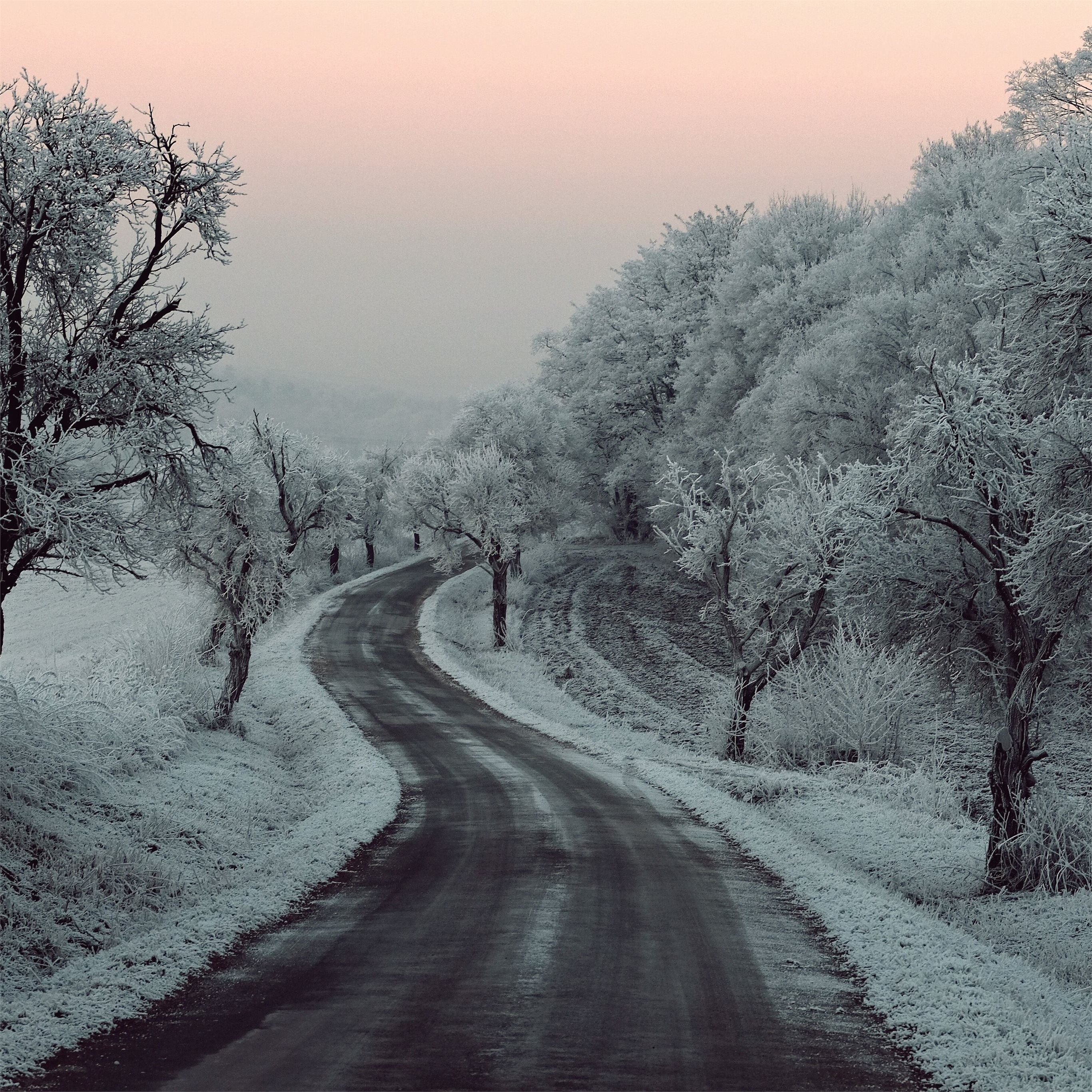 winter road snow frozen trees on sides 5k iPad Pro Wallpaper Free Download