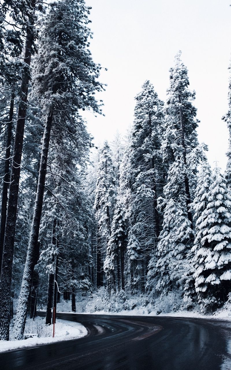 Wallpaper turn winter road snow trees. Winter wallpaper, Winter snow wallpaper, Winter wallpaper hd
