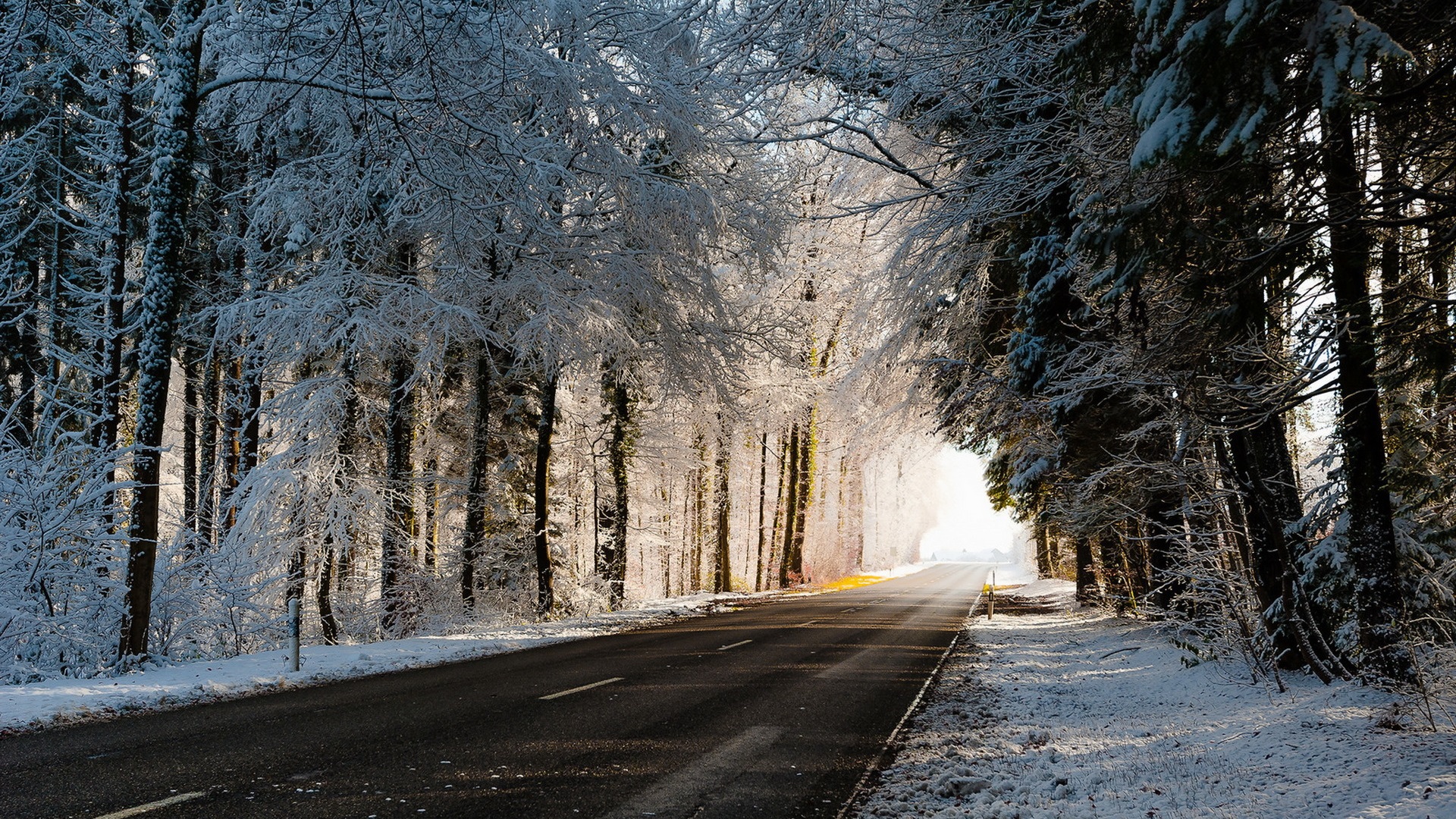 Wallpaper Winter, road, trees, snow 1920x1200 HD Picture, Image