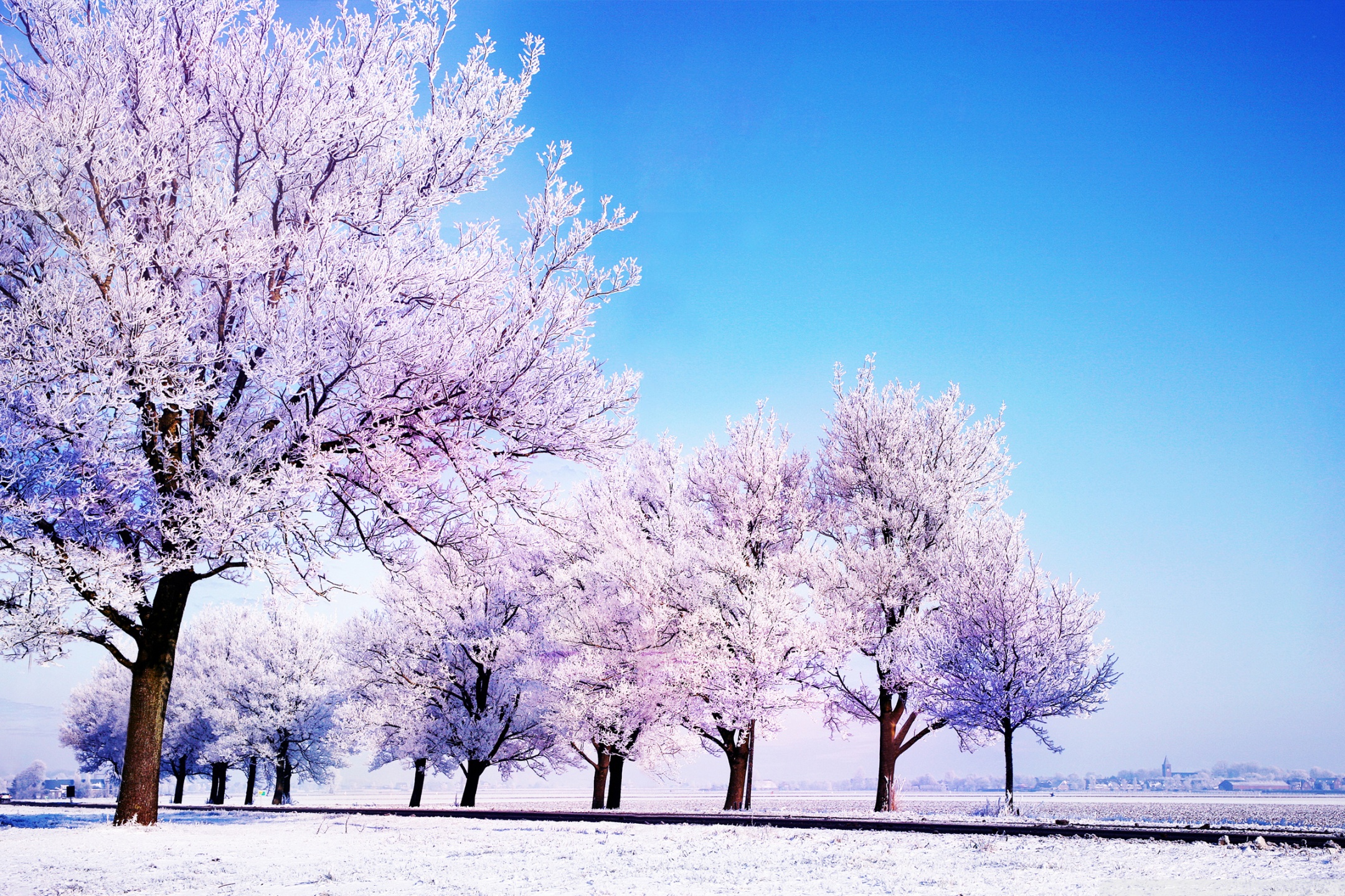 Winter Background Ultra HD Desktop Background Wallpaper for 4K UHD TV, Multi Display, Dual Monitor, Tablet