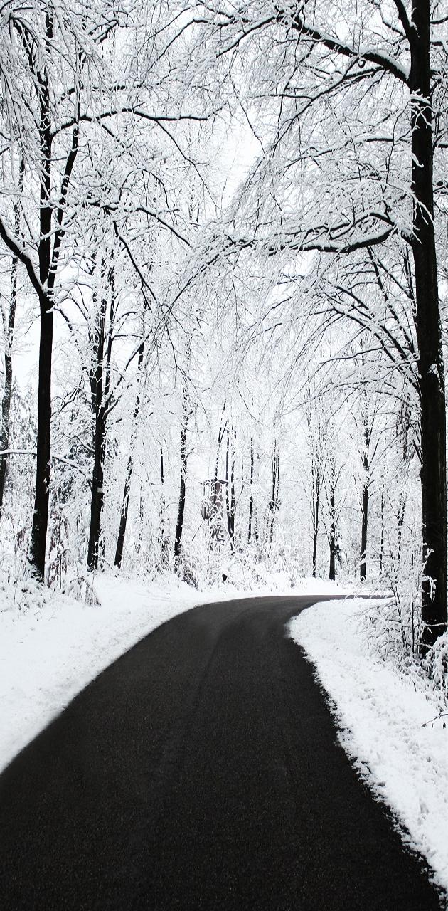 Winter Road wallpaper