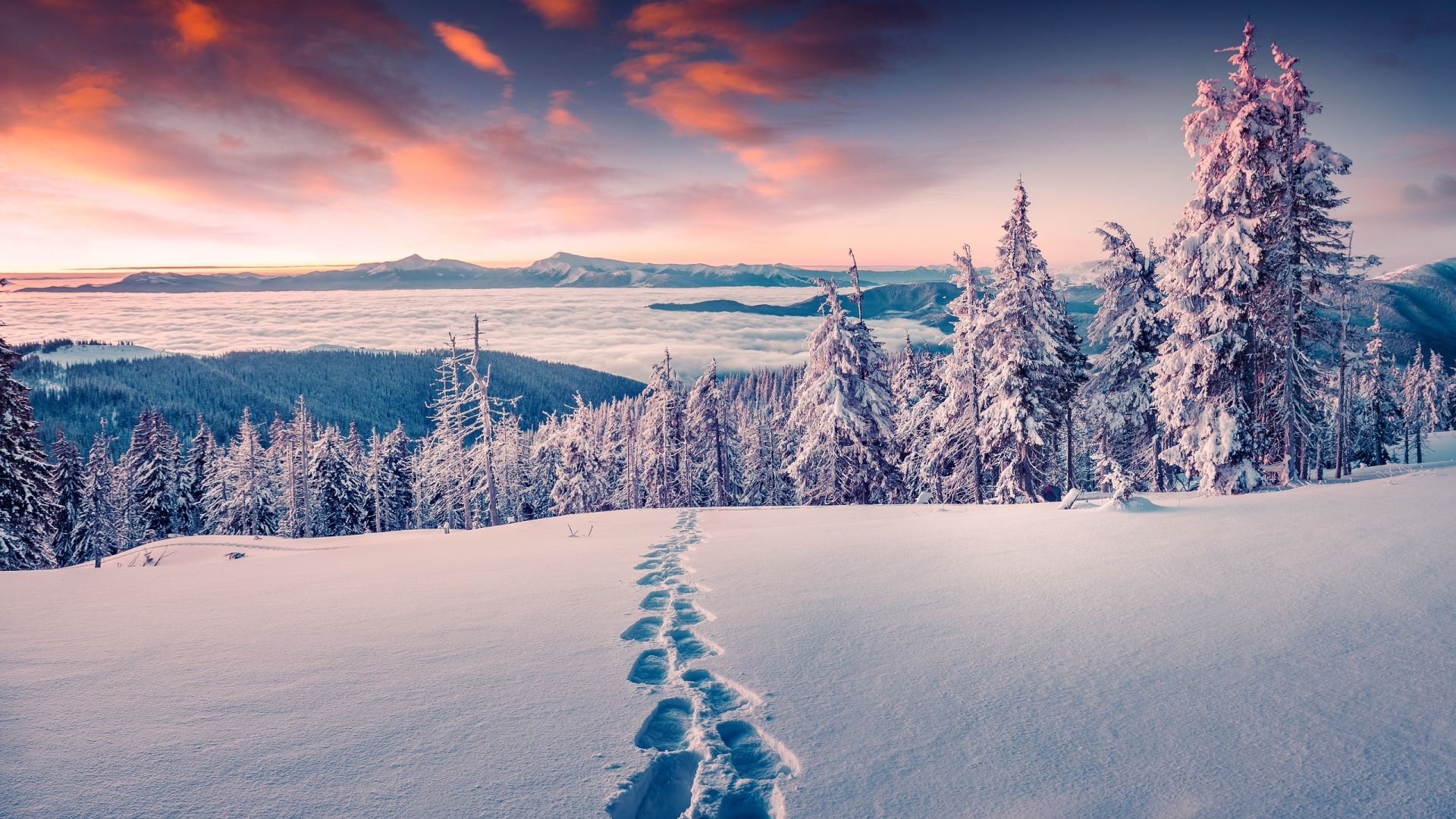 Winter 4k Wallpaper Ultra 4k