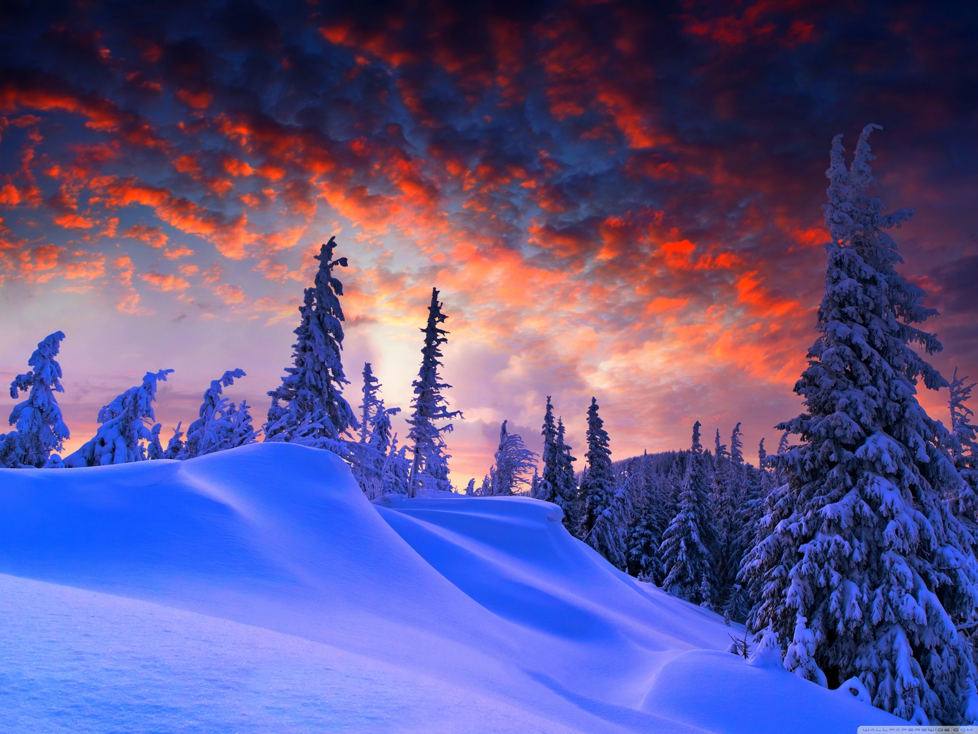 Winter Christmas Ultra HD Desktop Background Wallpaper for 4K UHD TV, Widescreen & UltraWide Desktop & Laptop