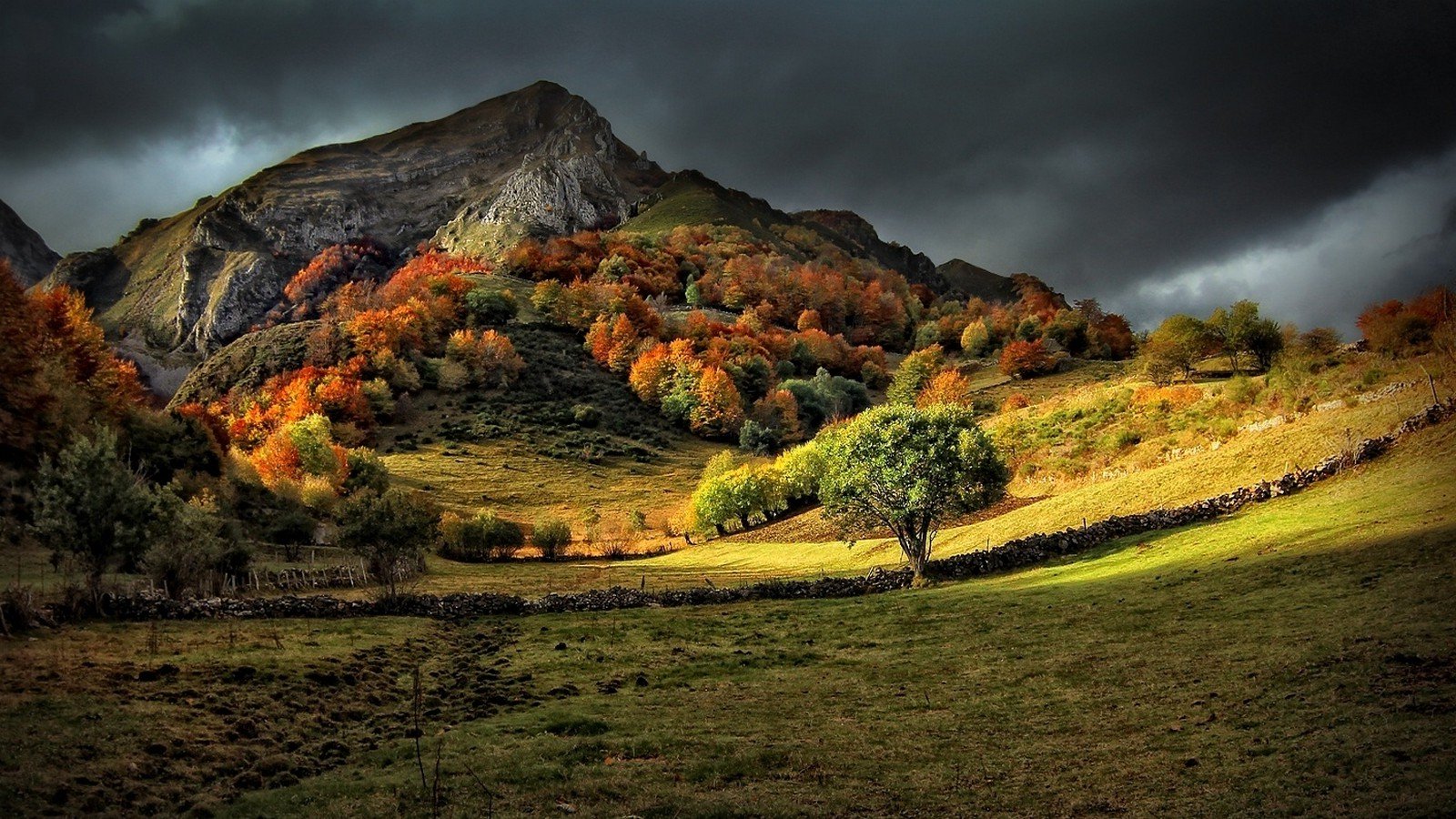 nature, Landscape, Fall, Mountain, Grass, Trees, Dark, Clouds, Sunlight Wallpaper HD / Desktop and Mobile Background