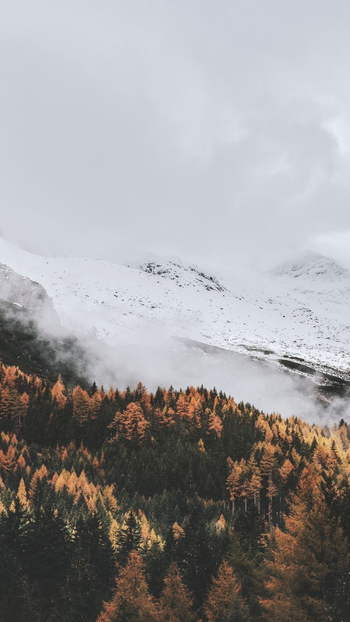 Autumn, trees' peak, mist, nature, 720x1280 wallpaper. iPhone wallpaper mountains, Mountain wallpaper, Nature