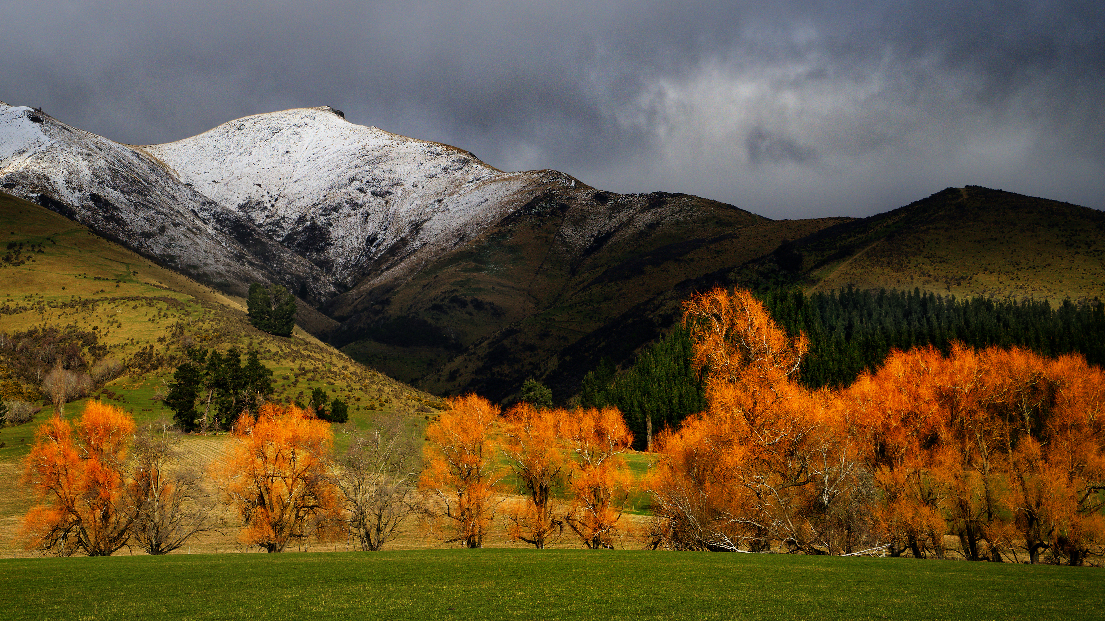 Landscape 4K Field Trees Mountains Fall New Zealand Snow Wallpaper:3840x2160