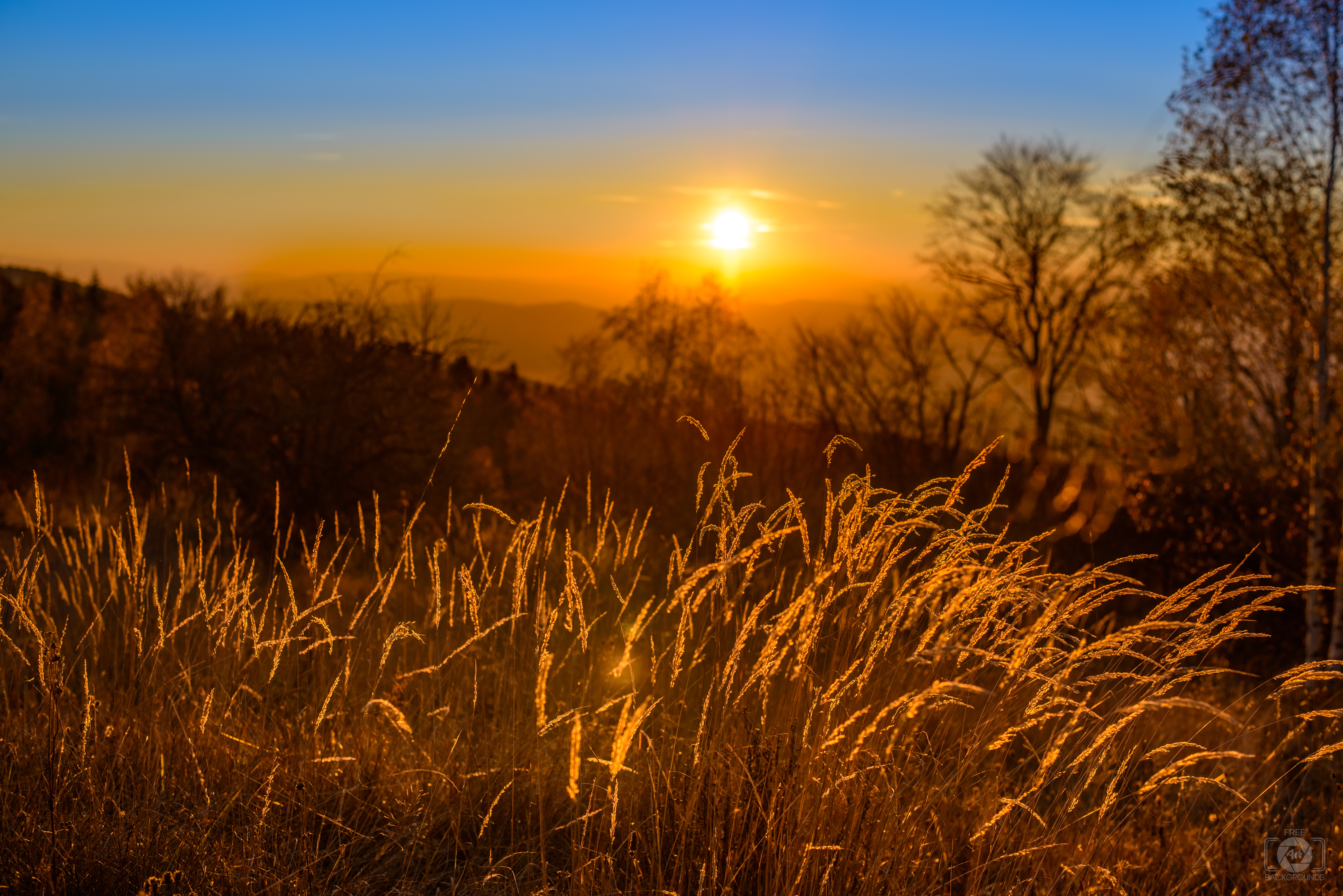 Autumn Sunset Landscape Background Quality Free Background