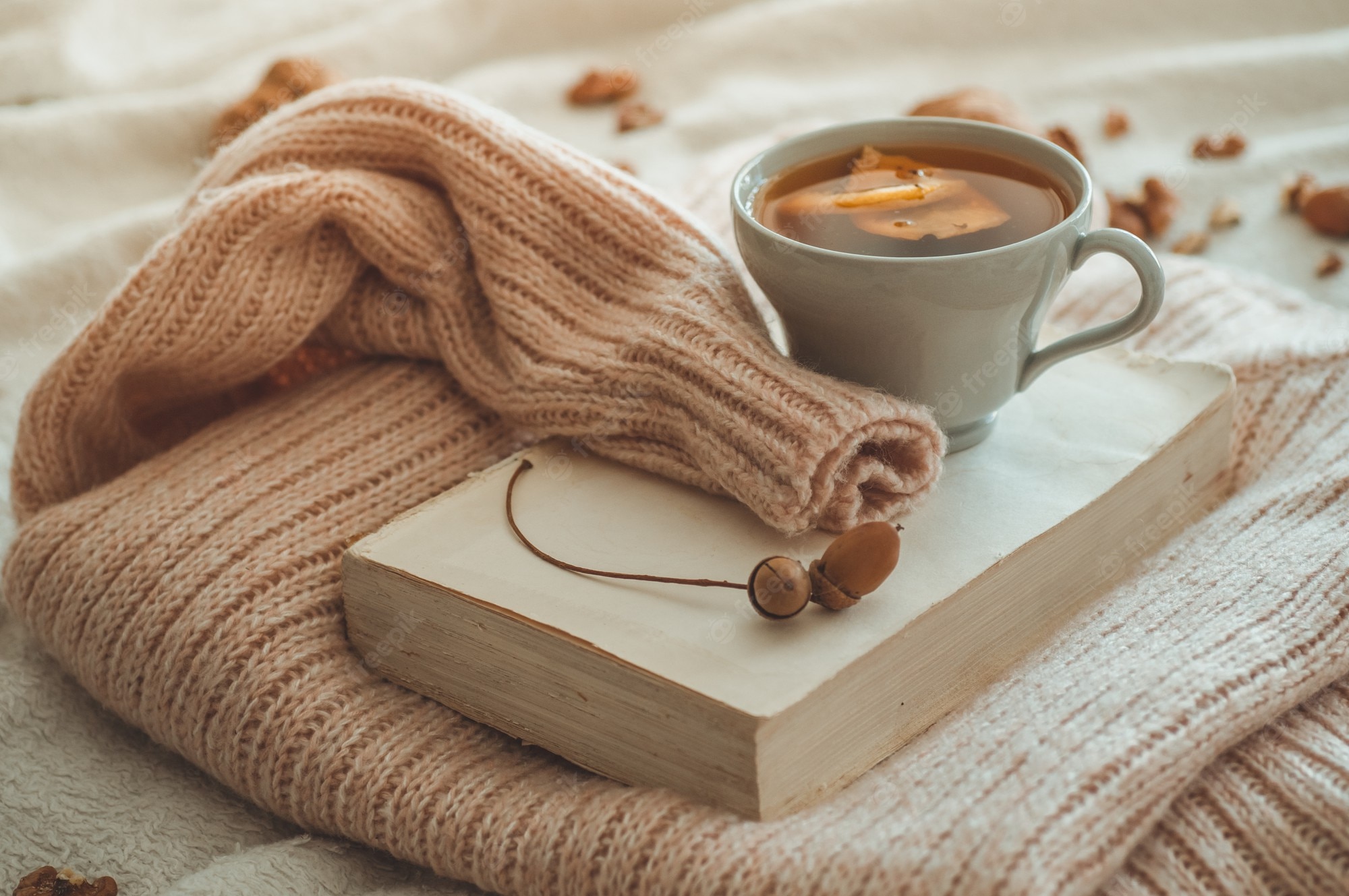 Premium Photo. Still life details in home interior of living room. sweaters and cup of tea with a cone, nuts and autumn decor on the books. read, rest. cozy autumn or