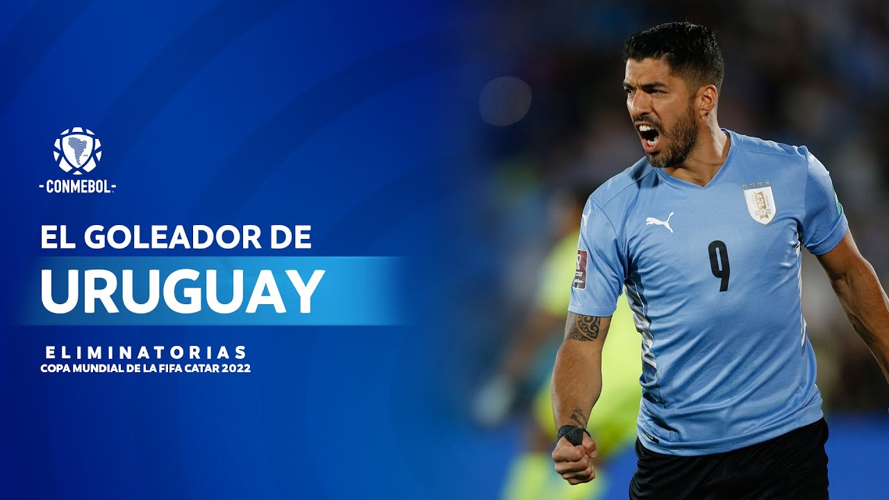 World Cup 2022 Group H guide: Bernardo Silva the orchestrator and Uruguay's last dance