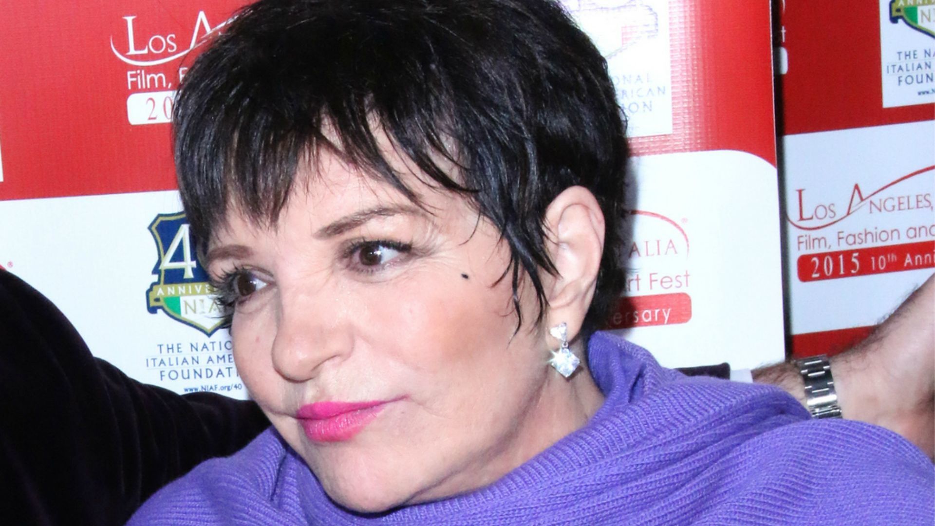 Liza Minnelli back in rehab after serious relapse