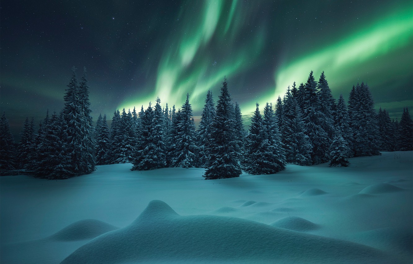 Wallpaper winter, forest, snow, Northern lights, ate, the snow image for desktop, section природа