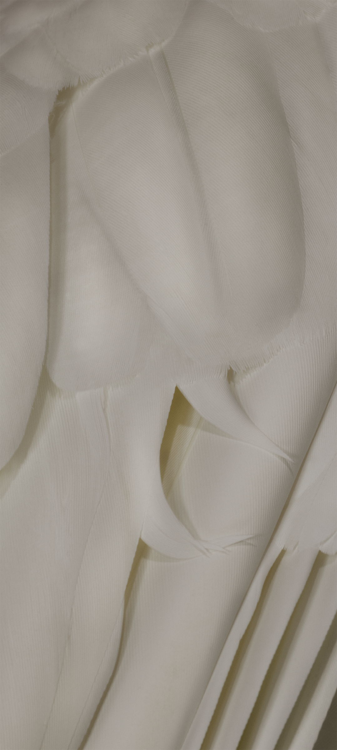 Download 'Feathers' wallpaper from the Pixel 7 and Pixel 7 Pro