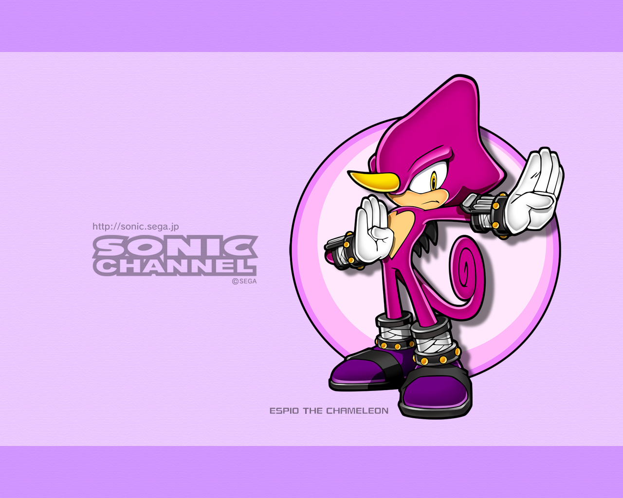 sonic characters The Swallow Photo