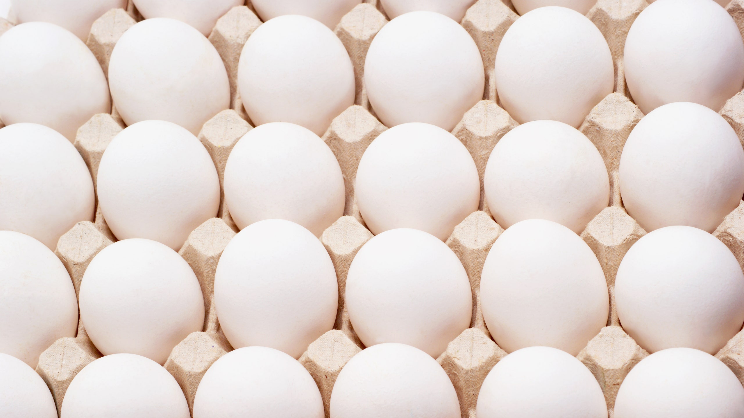 How to Tell if an Egg is Bad (Plus Tips to Keep Eggs Fresh)