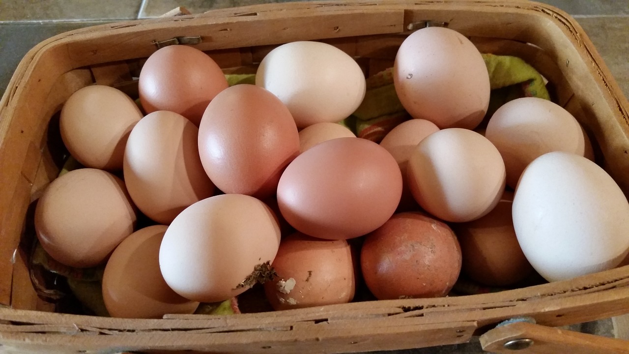 Download free photo of Farm fresh, eggs, farm fresh eggs, food, organic