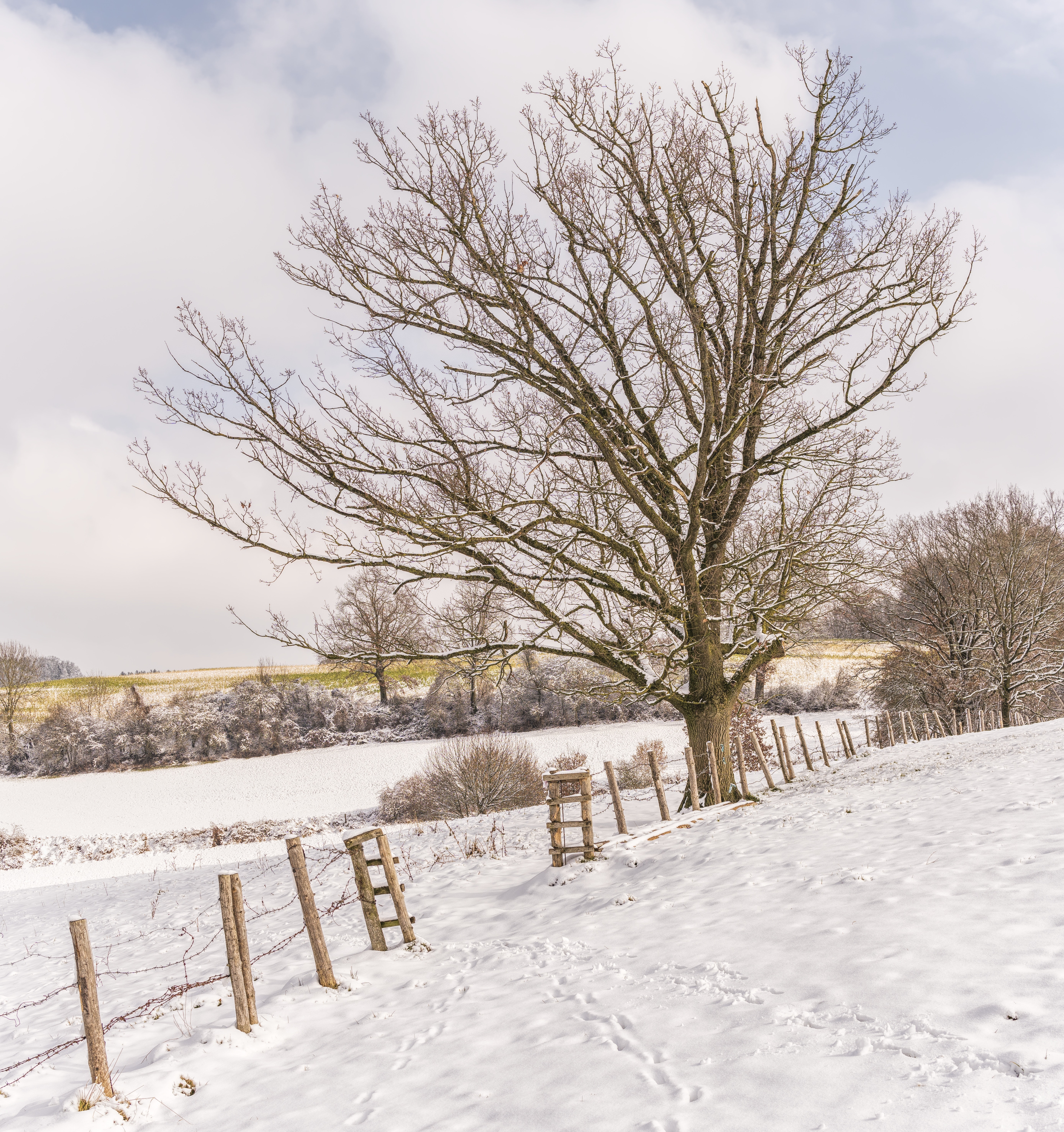 Winter Scenes Photo, Download Free Winter Scenes & HD Image