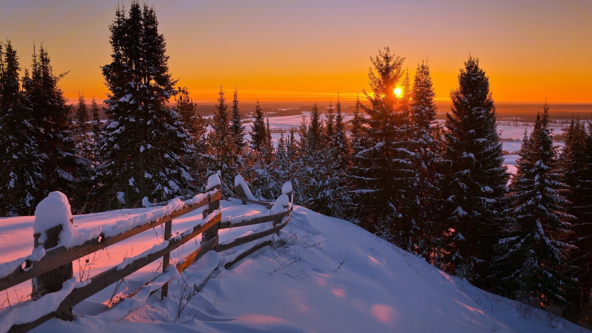 sky, scene, snow, tree, fence, sunset, winter Gallery HD Wallpaper