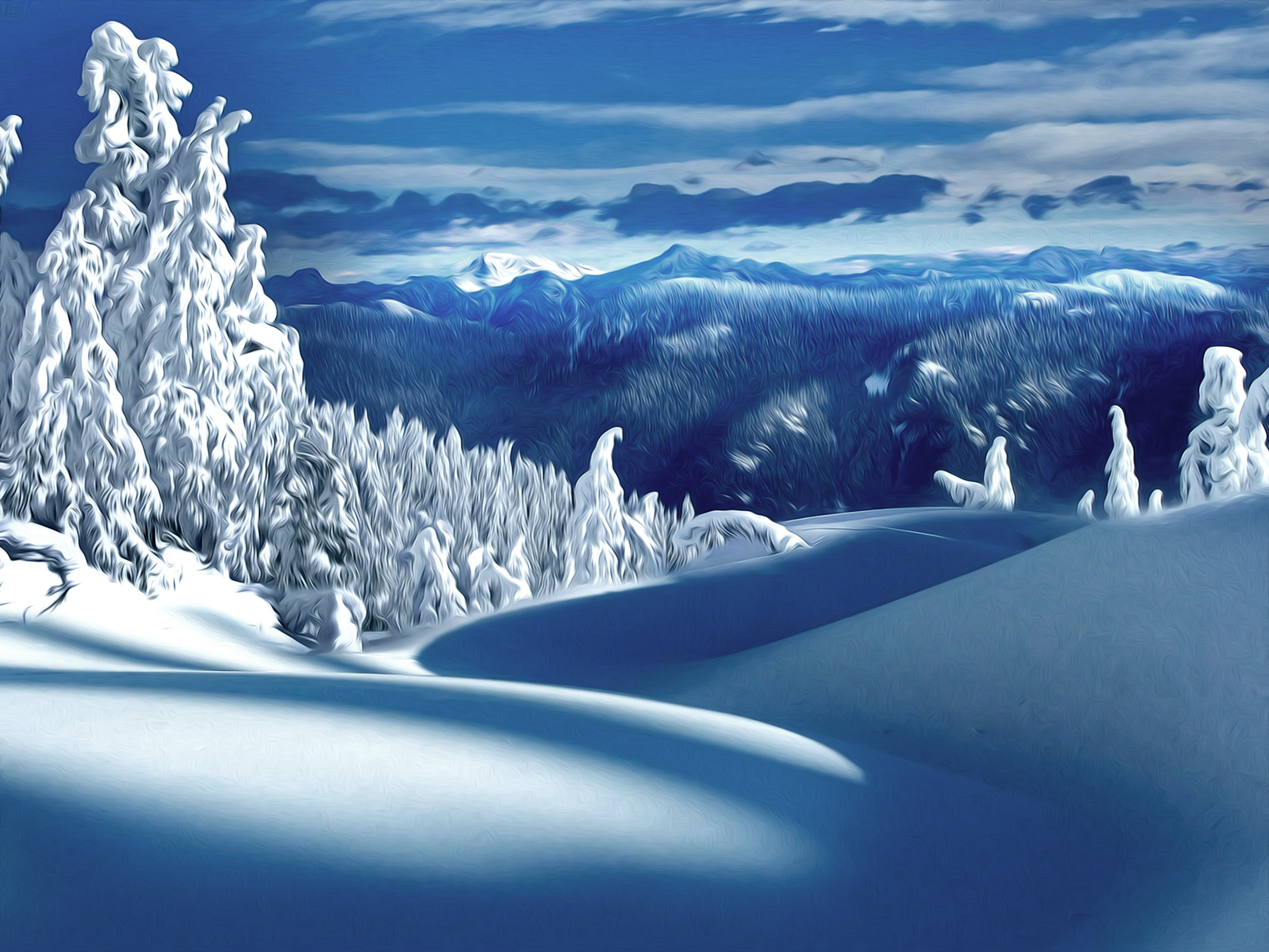 2560x Winter Nature Snow Scene Winter Scene
