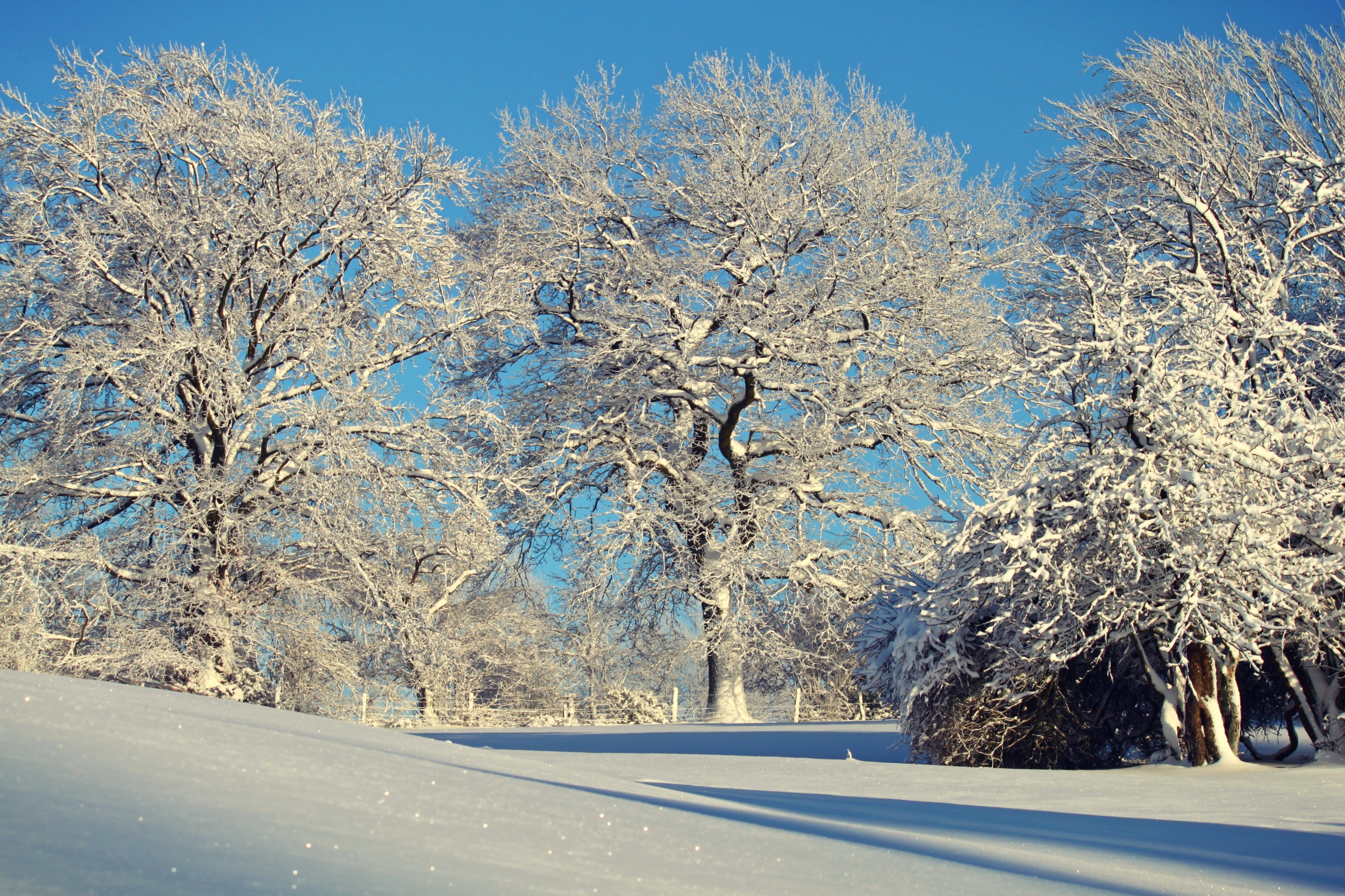 Winter Scenes Photo, Download Free Winter Scenes & HD Image