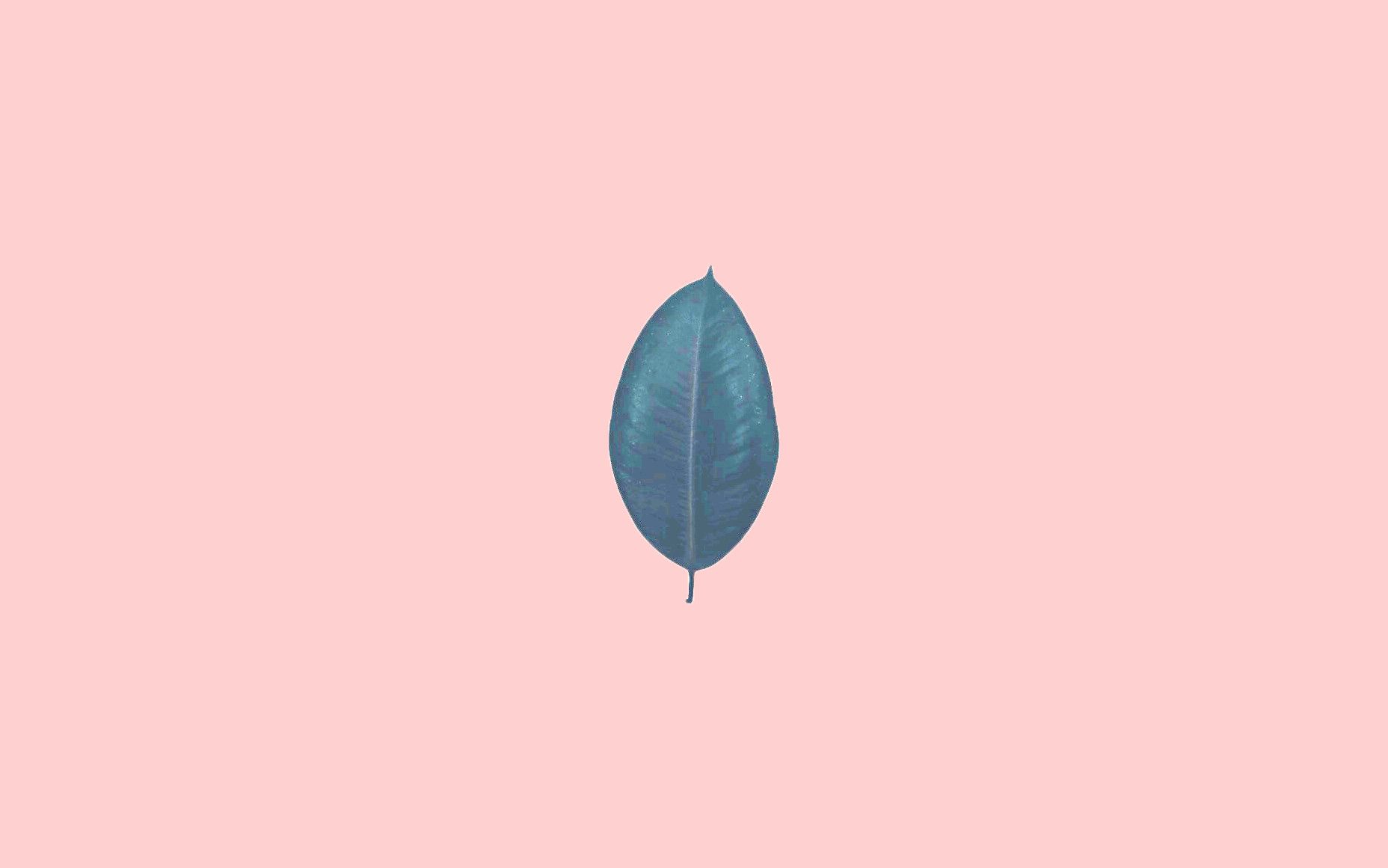 Pastel Wallpaper Laptop